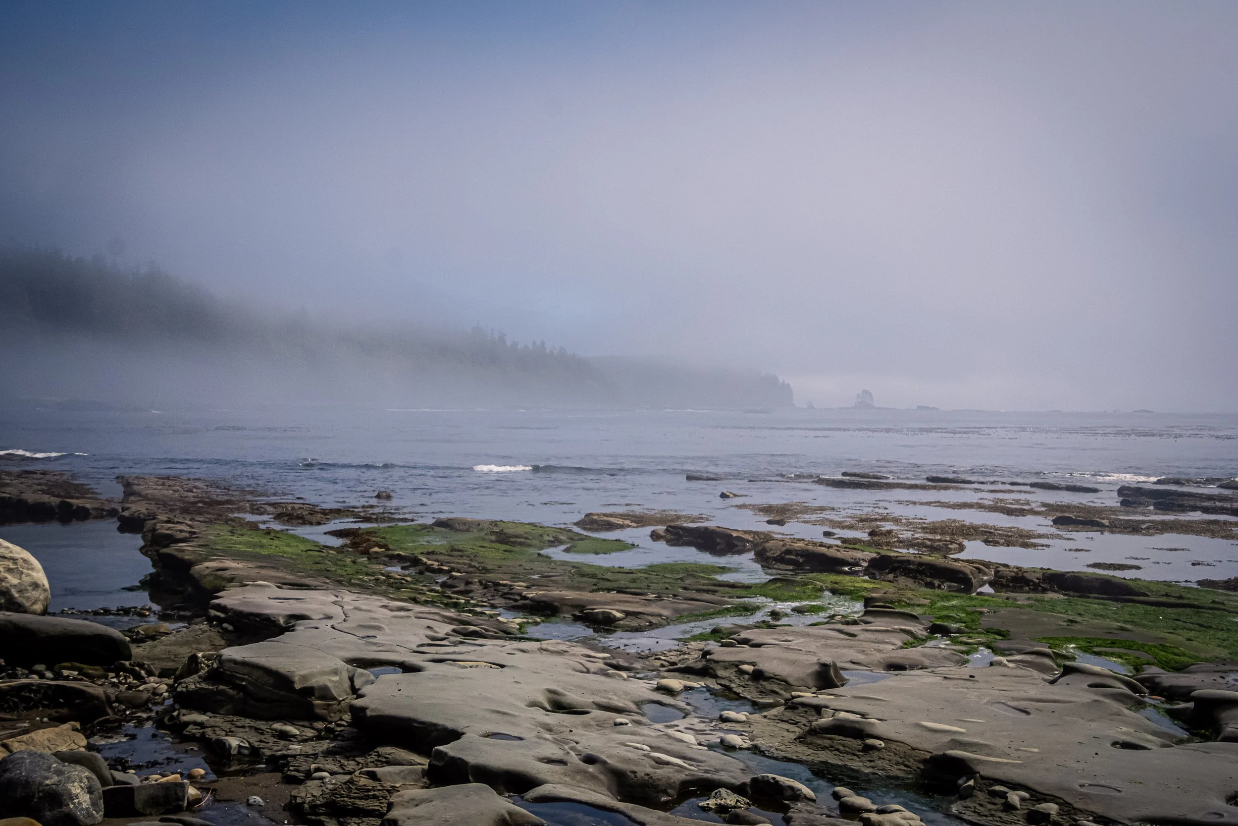 D72_2132.jpg