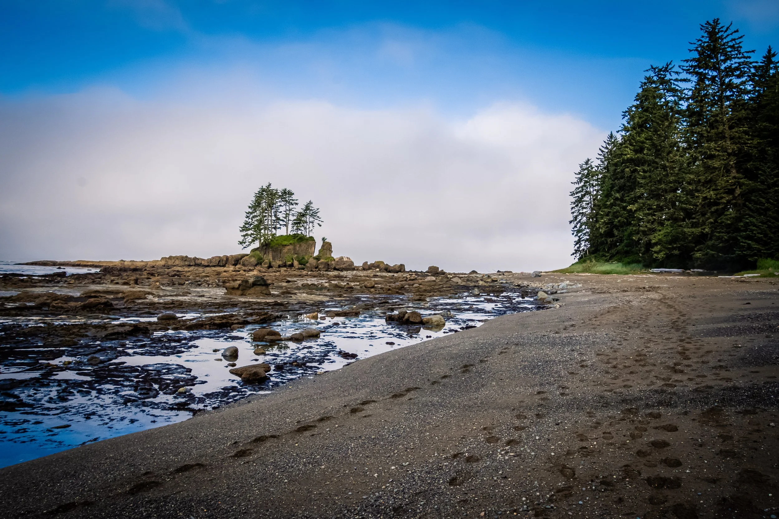 D72_2176.jpg