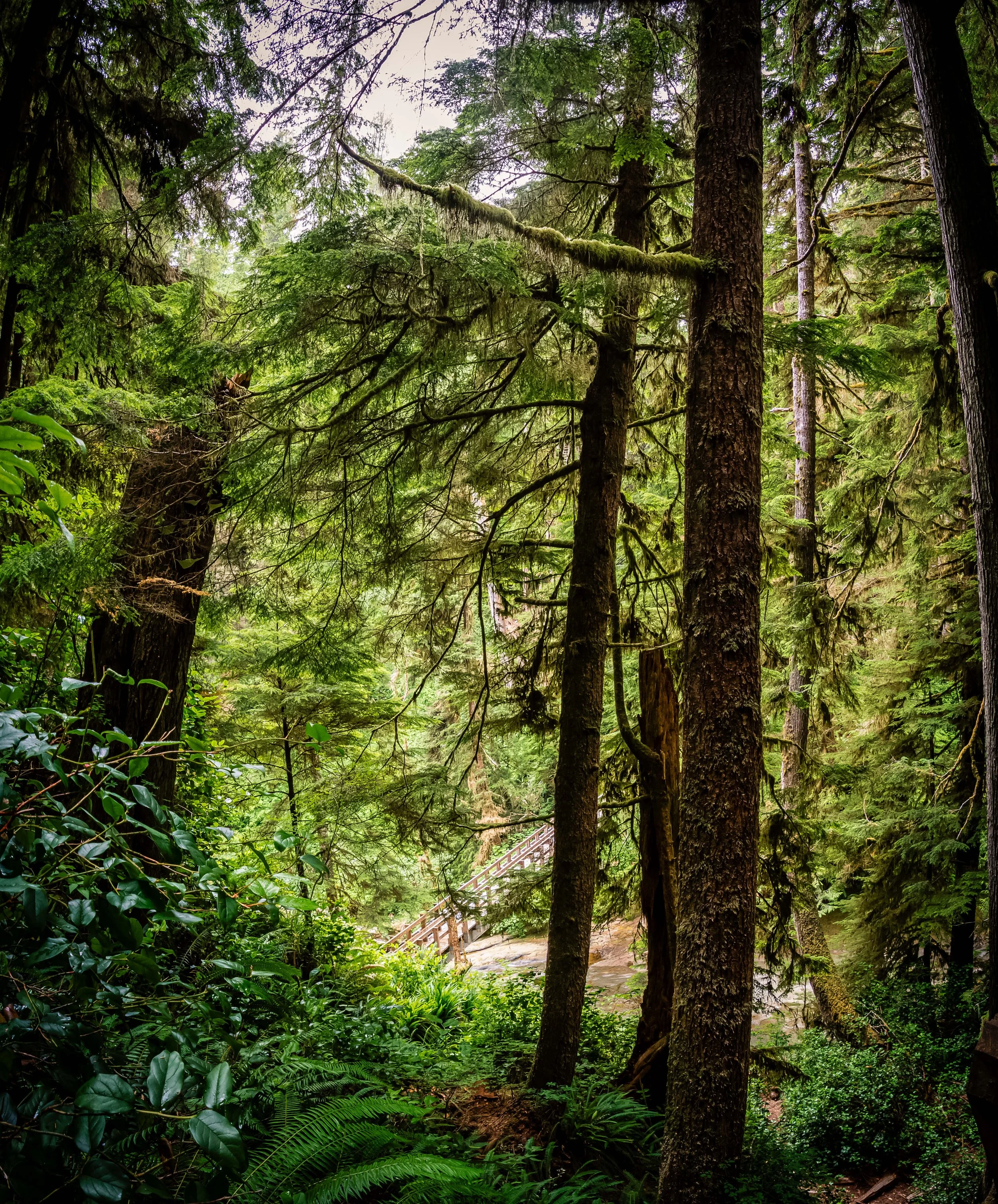 D72_2524-Pano.jpg