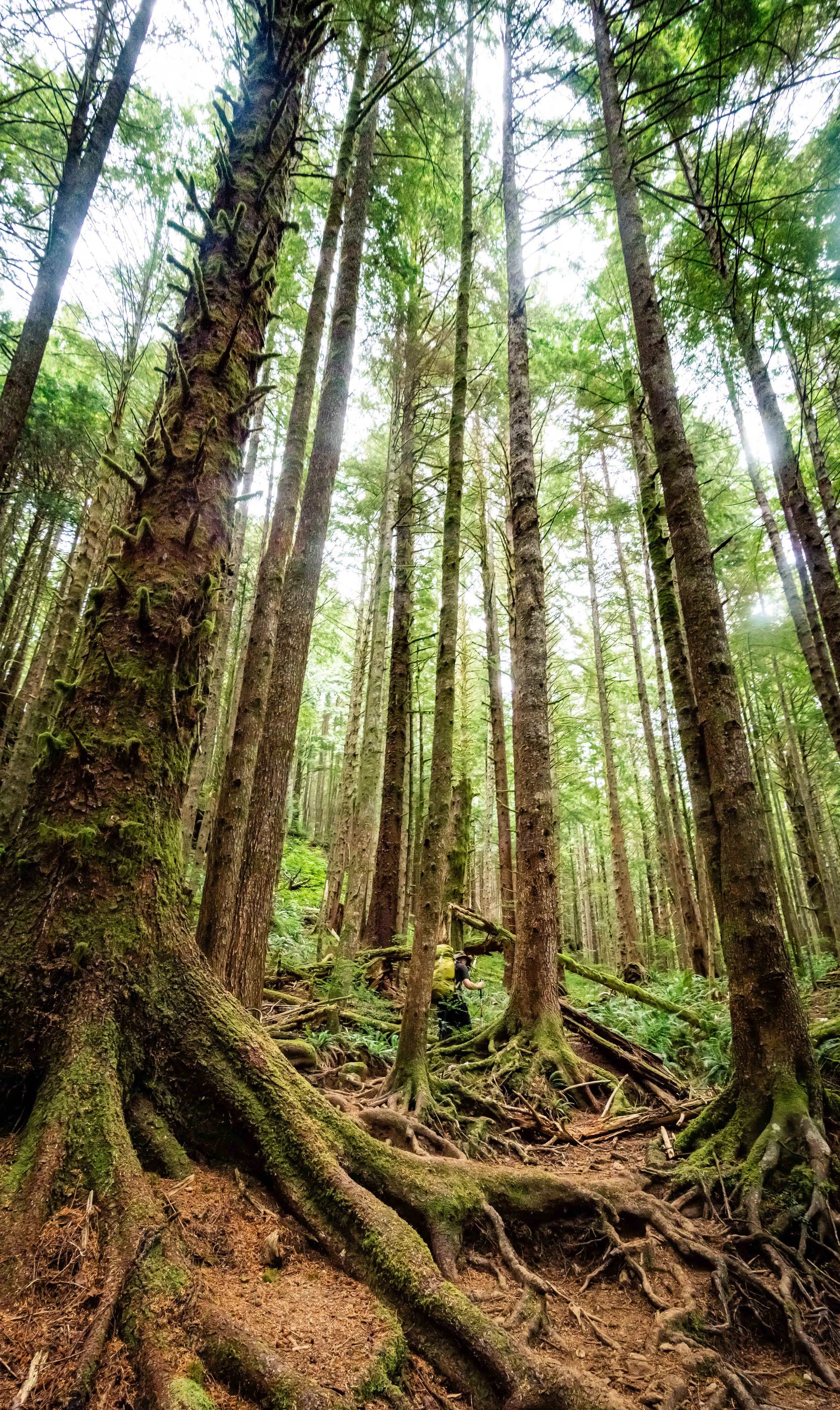 D72_2628-Pano.jpg