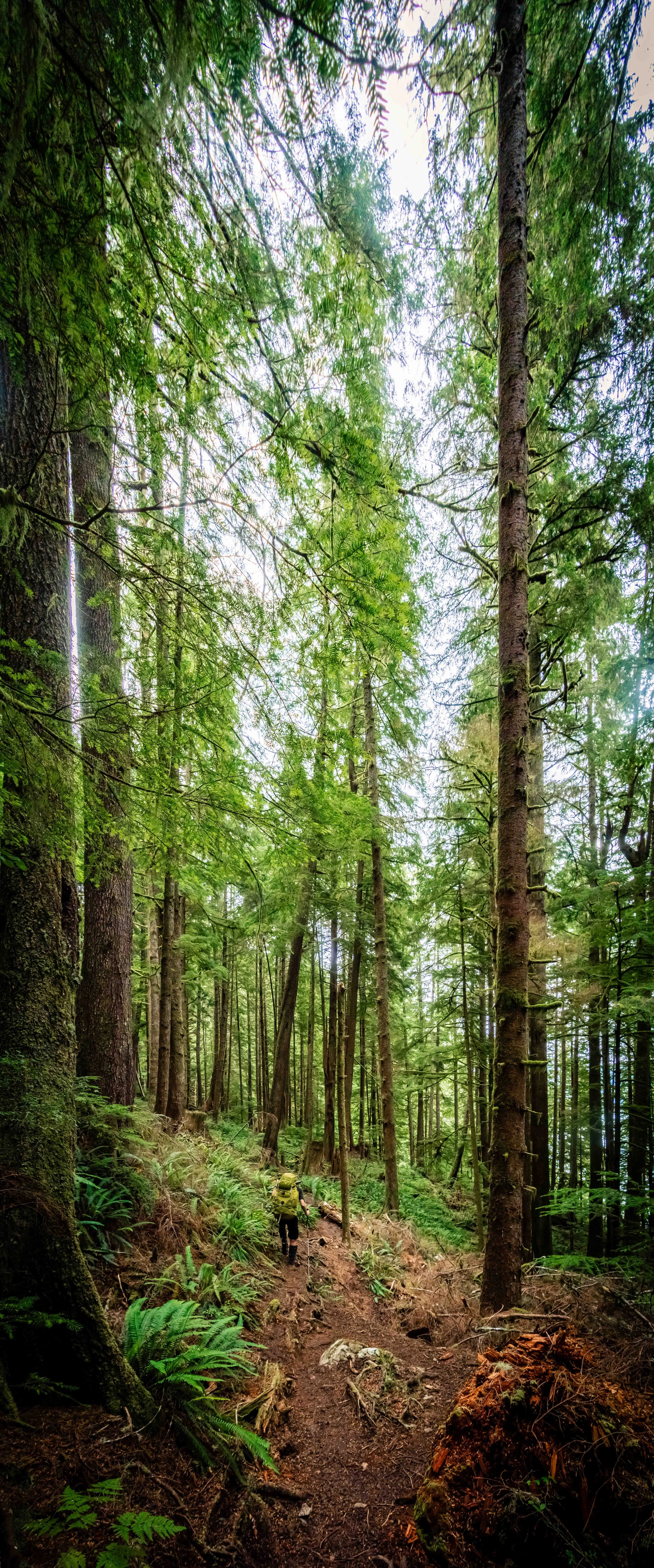 D72_2641-Pano.jpg