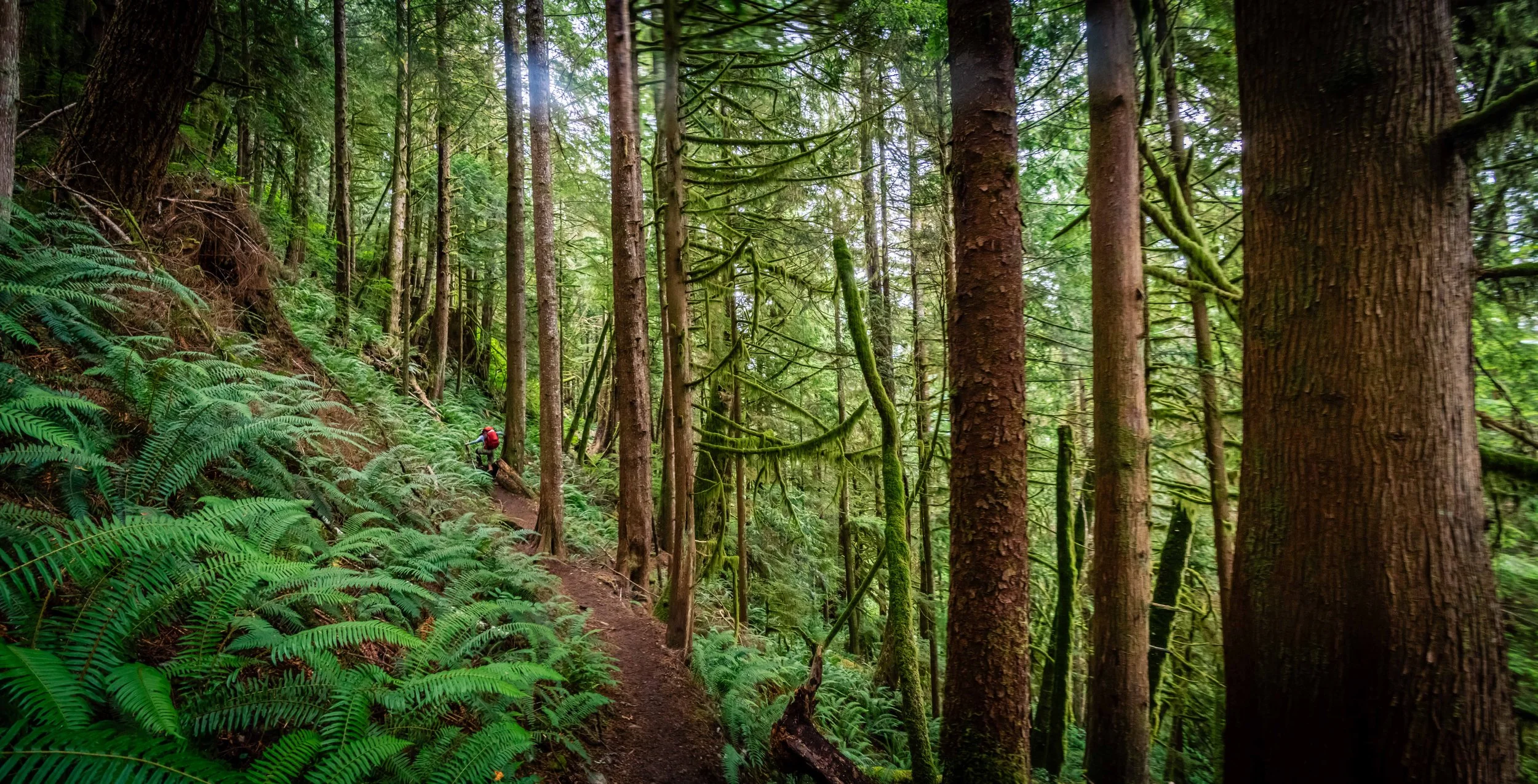 D72_2699-Pano.jpg