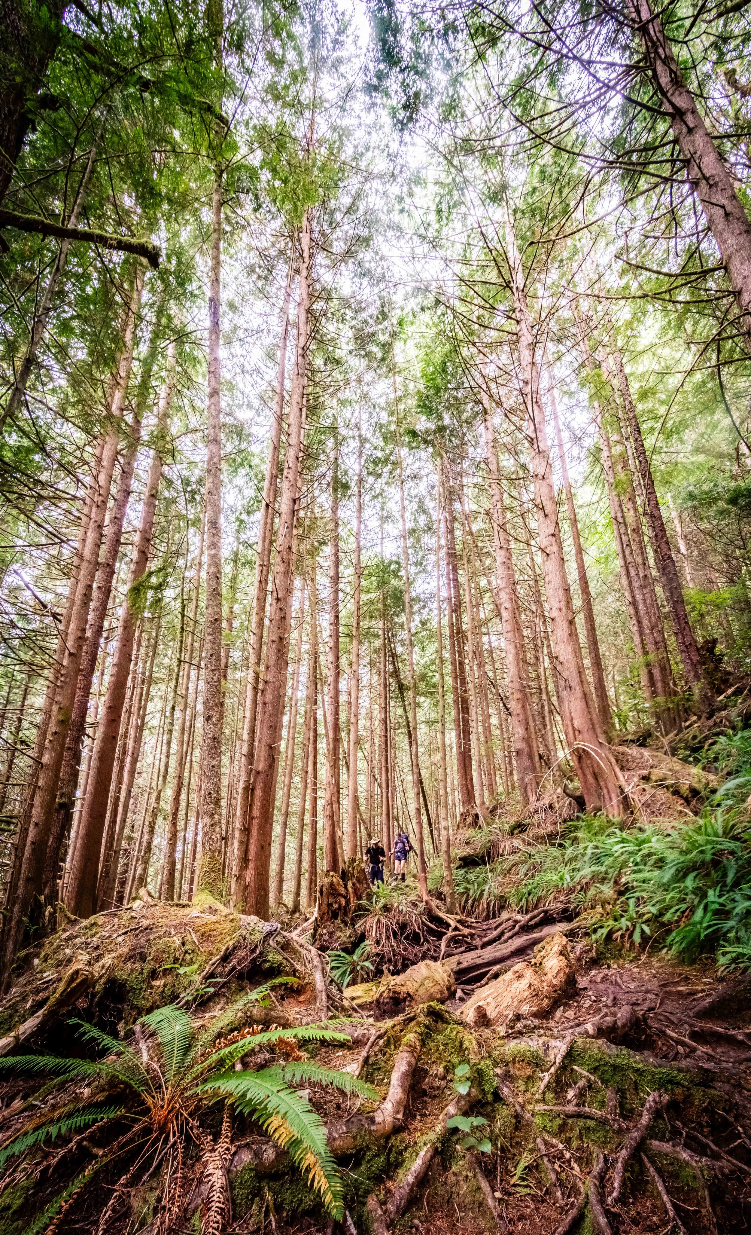 D72_2748-Pano.jpg