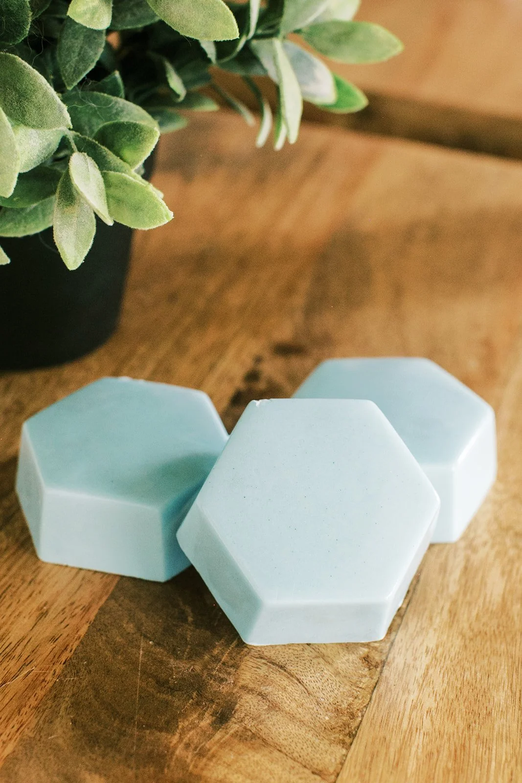 Rosemary Mint Hexagon Soap