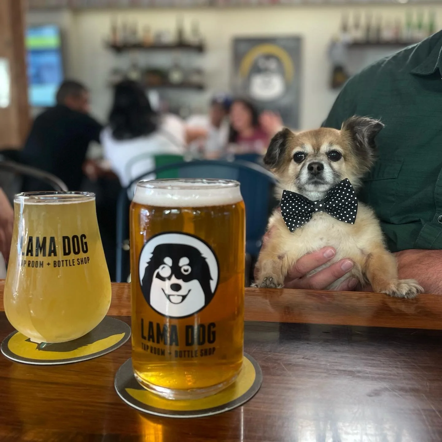 Beer Store Santa Barbara CA Tap Room in Goleta & Santa Barbara