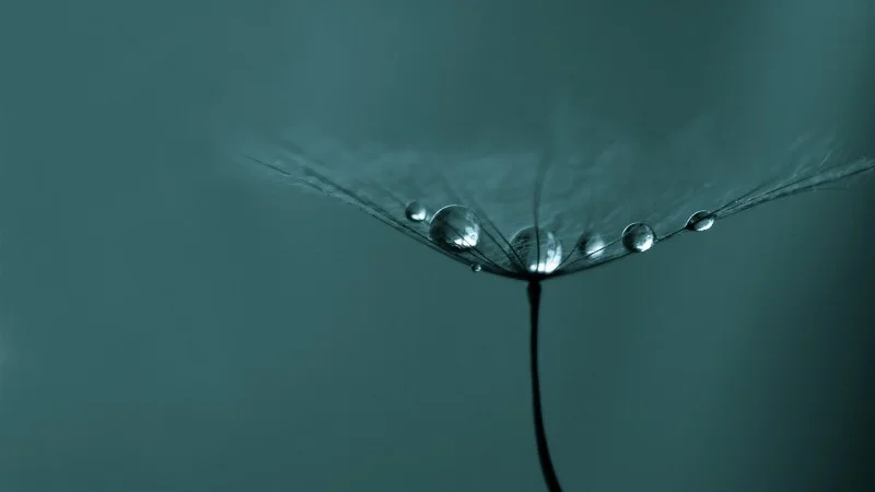 I Will Wield My Sword Again