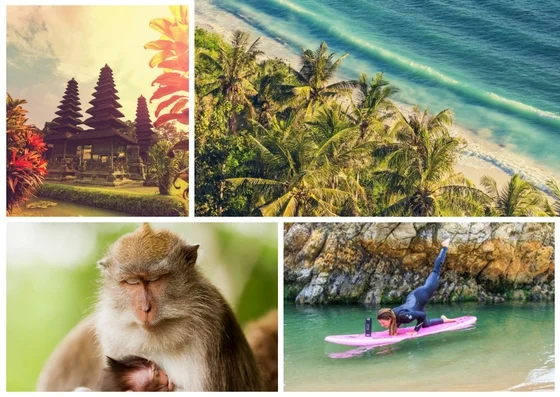 Bali web.jpg
