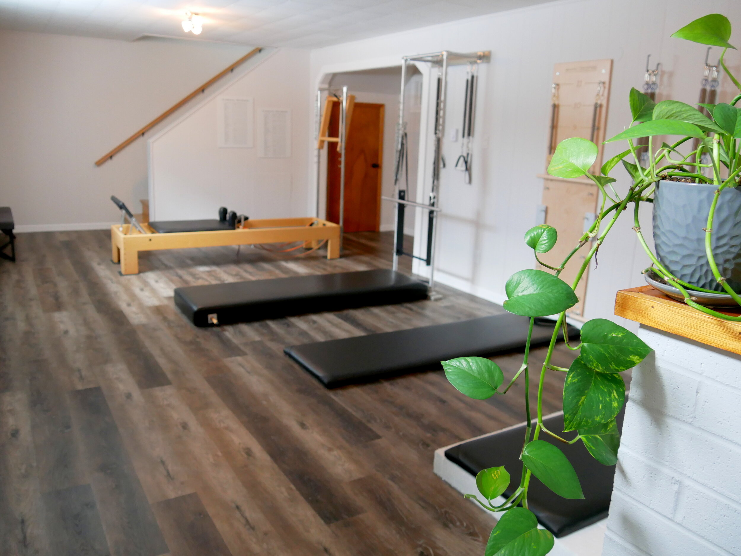 Plant and Studio.JPG