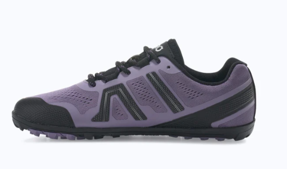 Mesa Trail Purple Silver.png