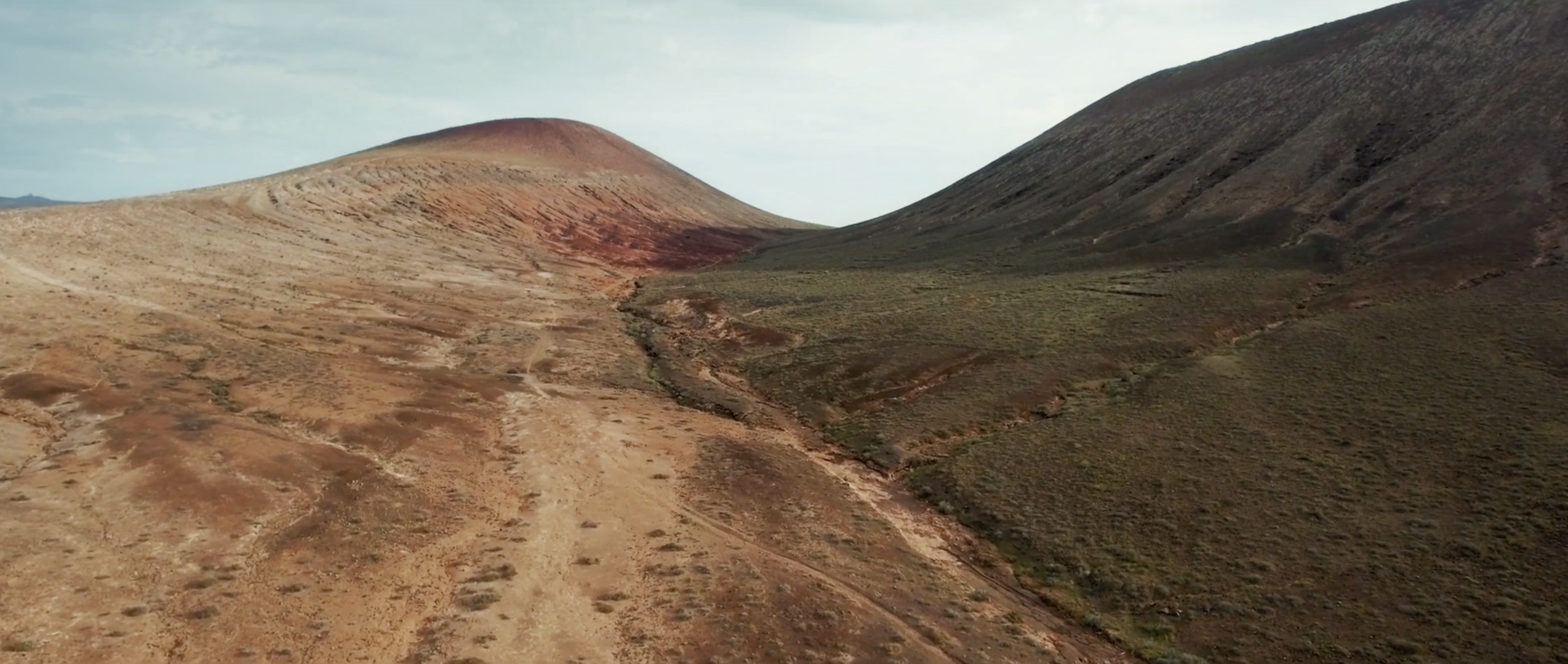 Screen Shot 2020-05-26 at 1.26.55 PM.png