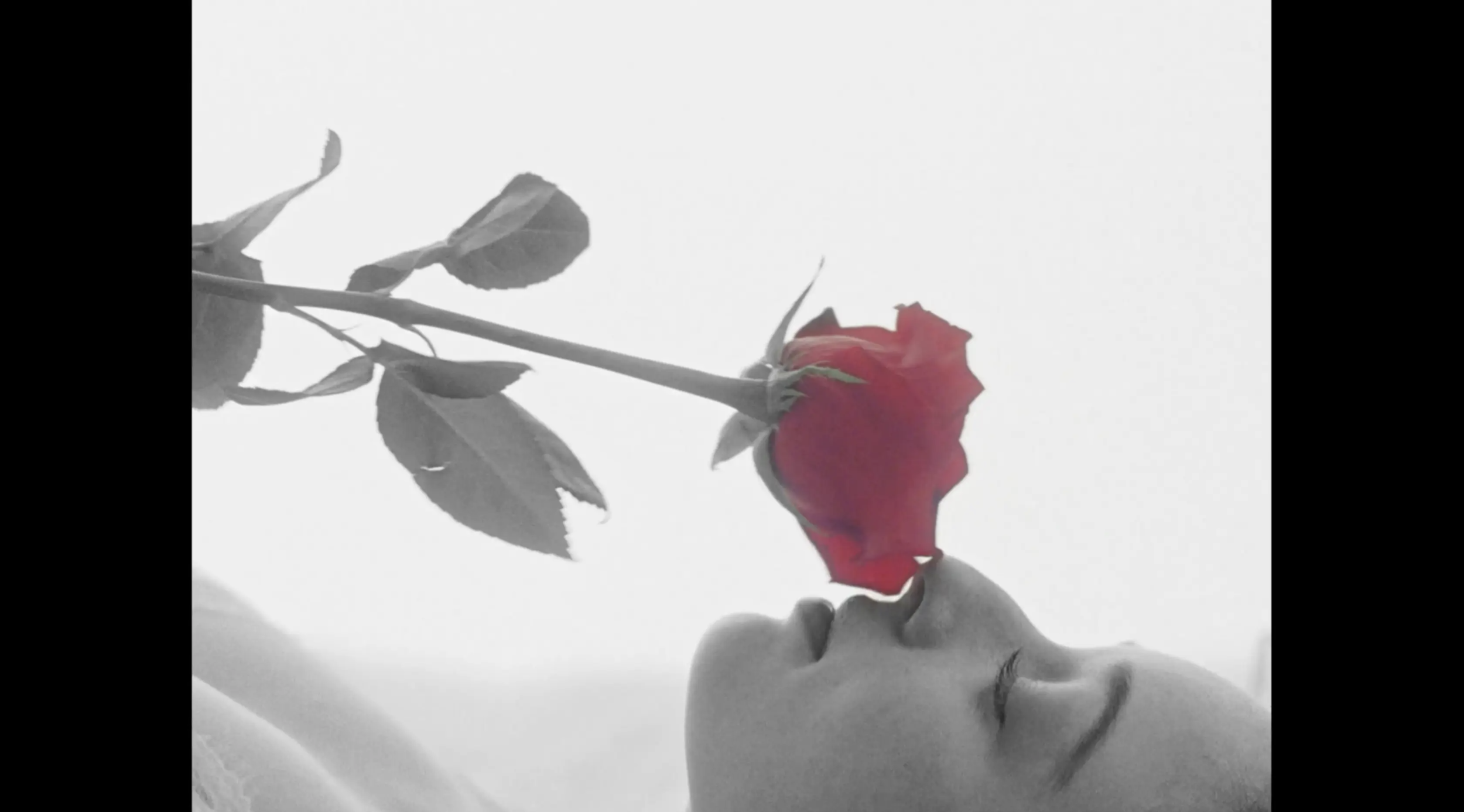 Screen Shot 2020-05-26 at 1.48.44 PM.png