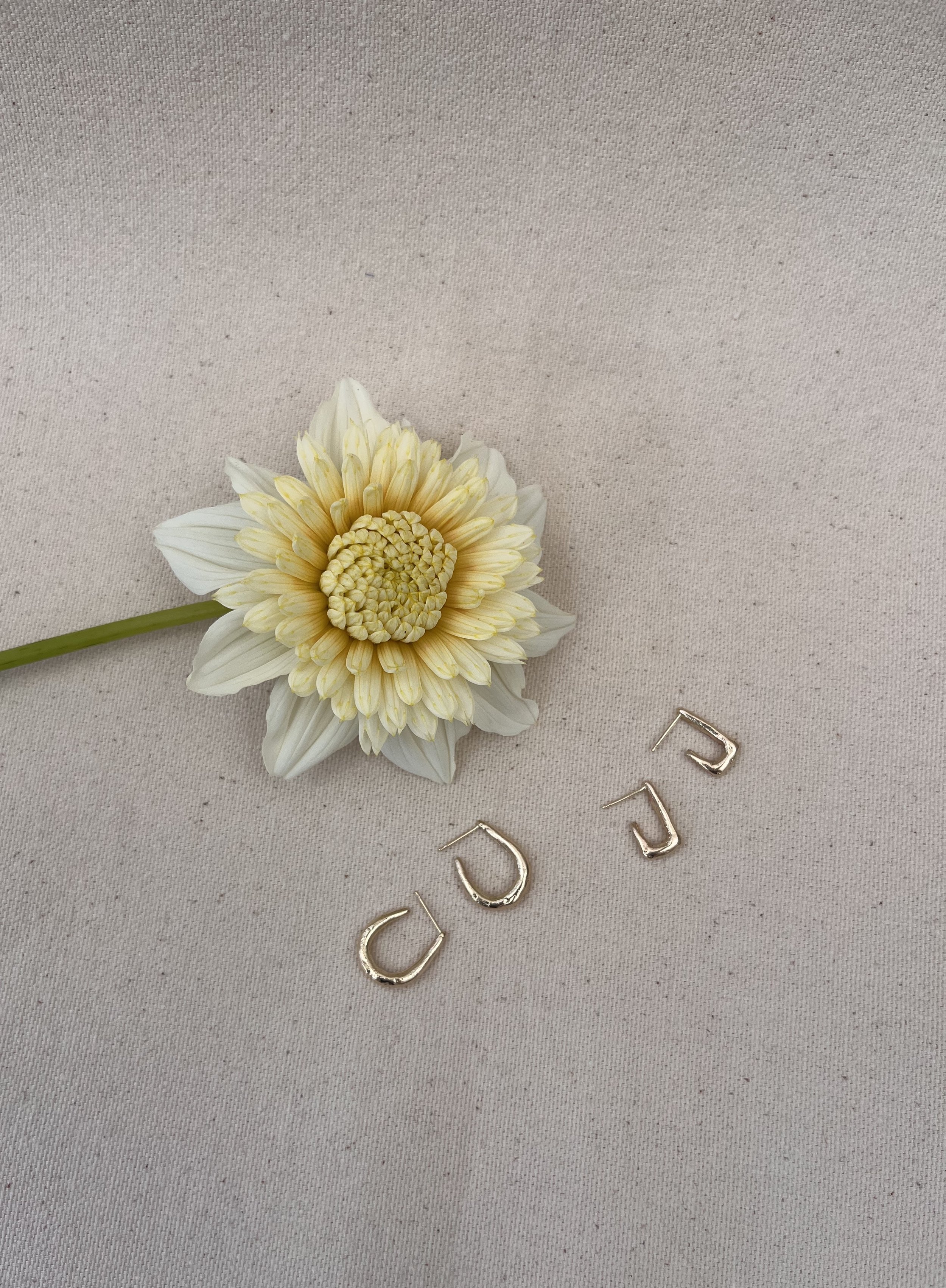 Oval and Squared Hugs.jpg