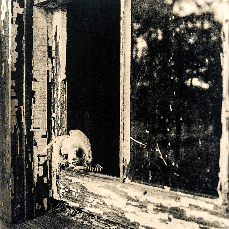   ©KatarzynaDerda    &nbsp;series "If Only" ,    photograph #2, lith print    Chicago 2009 , unique, edition of 1  