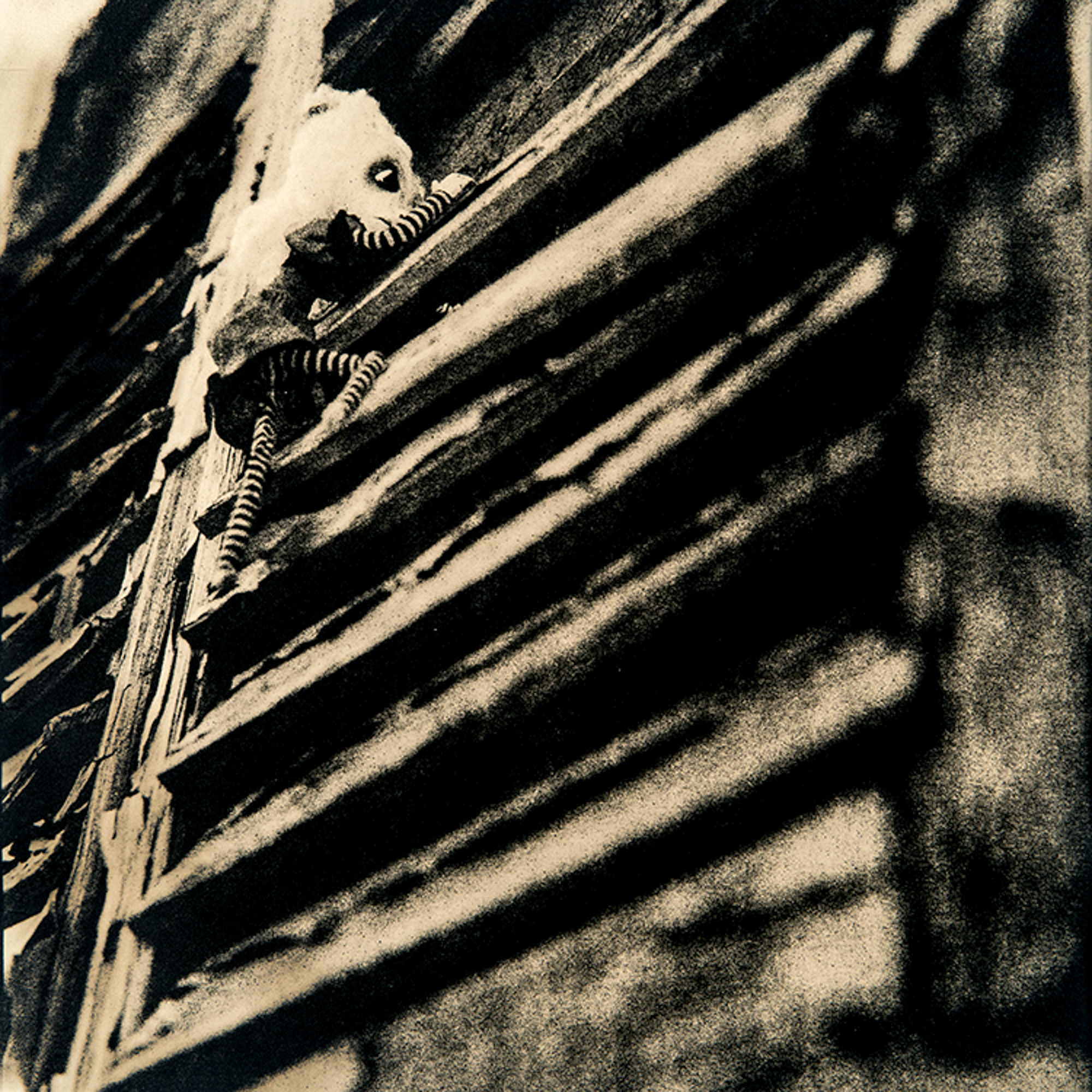   ©KatarzynaDerda    &nbsp;series "If Only" ,    photograph #5, lith print    Chicago 2009 , unique, edition of 1  