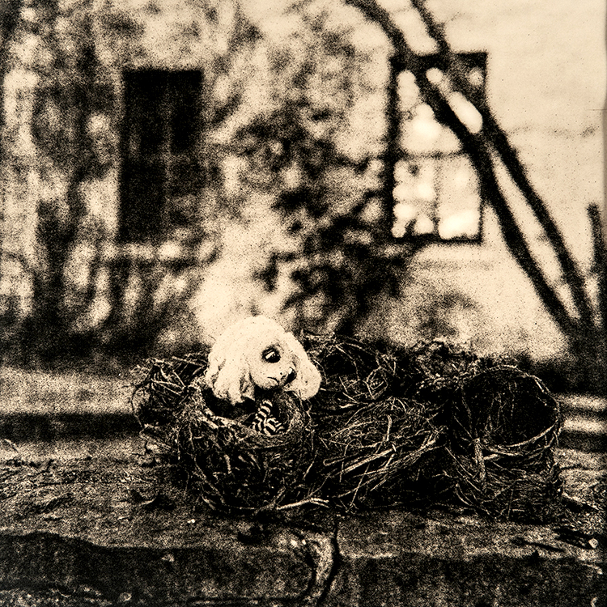   ©KatarzynaDerda    &nbsp;series "If Only" ,    photograph #4, lith print    Chicago 2009 , unique, edition of 1  