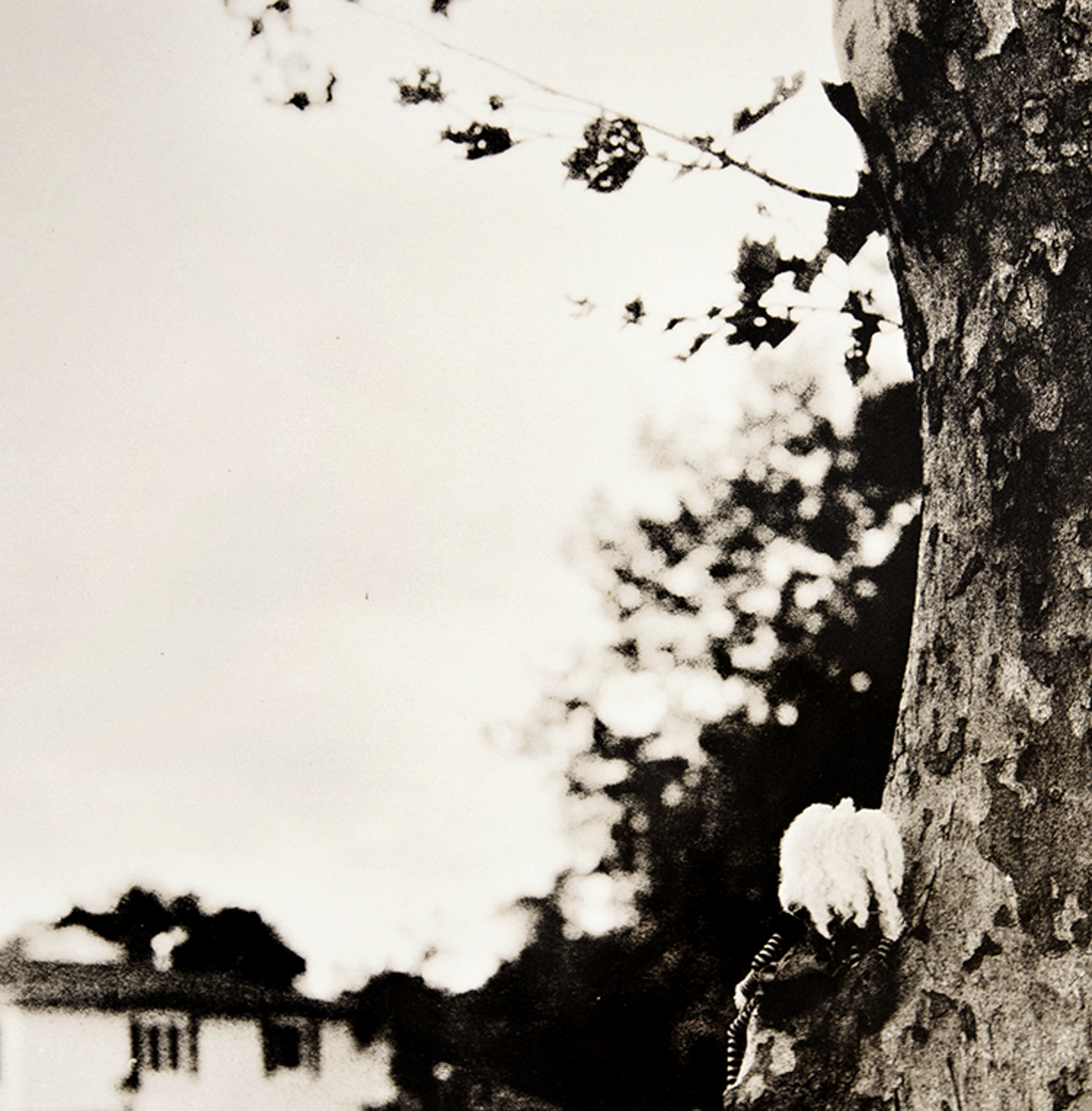   ©KatarzynaDerda    &nbsp;series "If Only" ,    photograph #6, lith print    Chicago 2009 , unique, edition of 1  