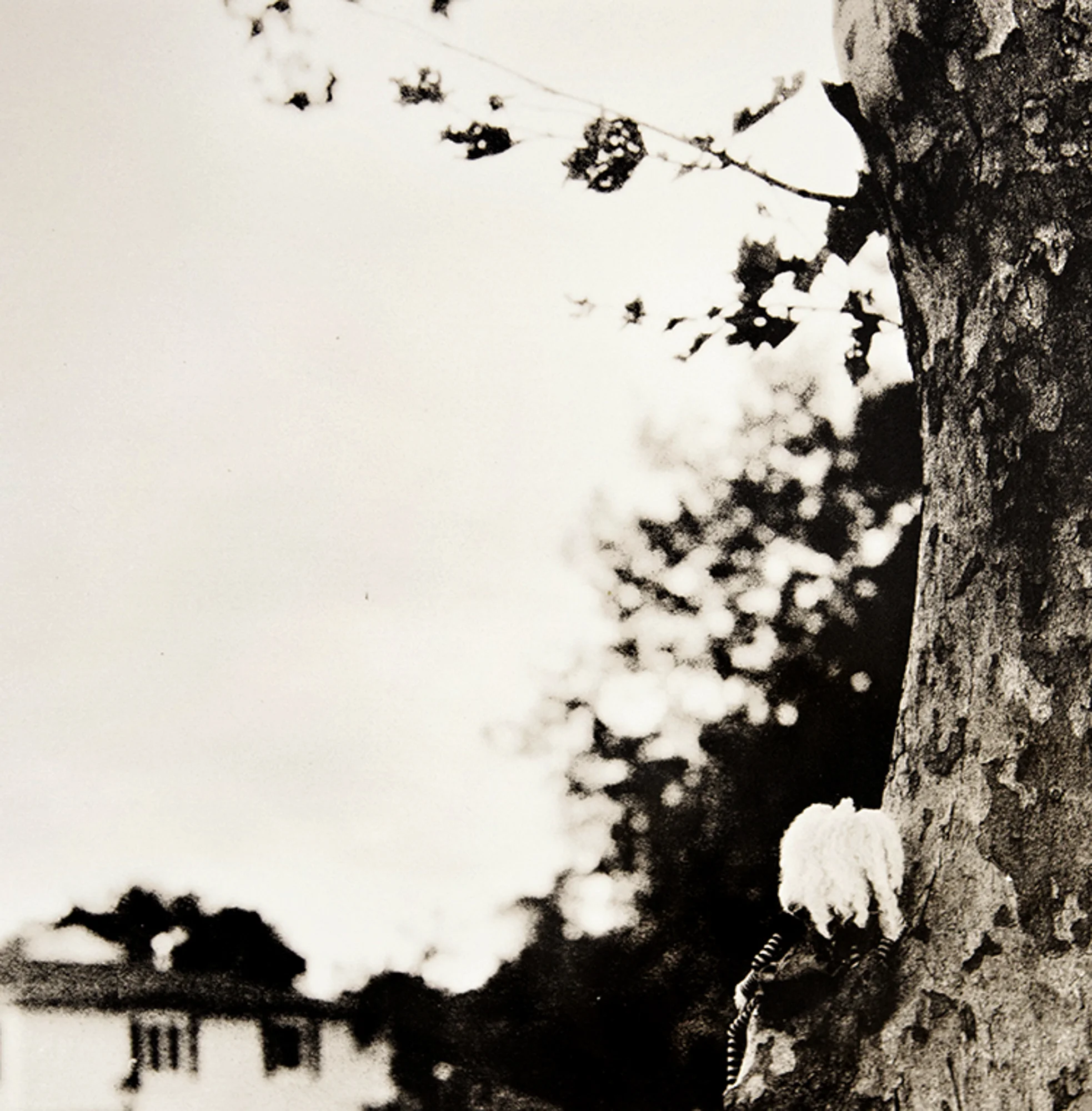 ©KatarzynaDerda series "If Only" , photograph #6, lith print Chicago 2009 , unique, edition of 1