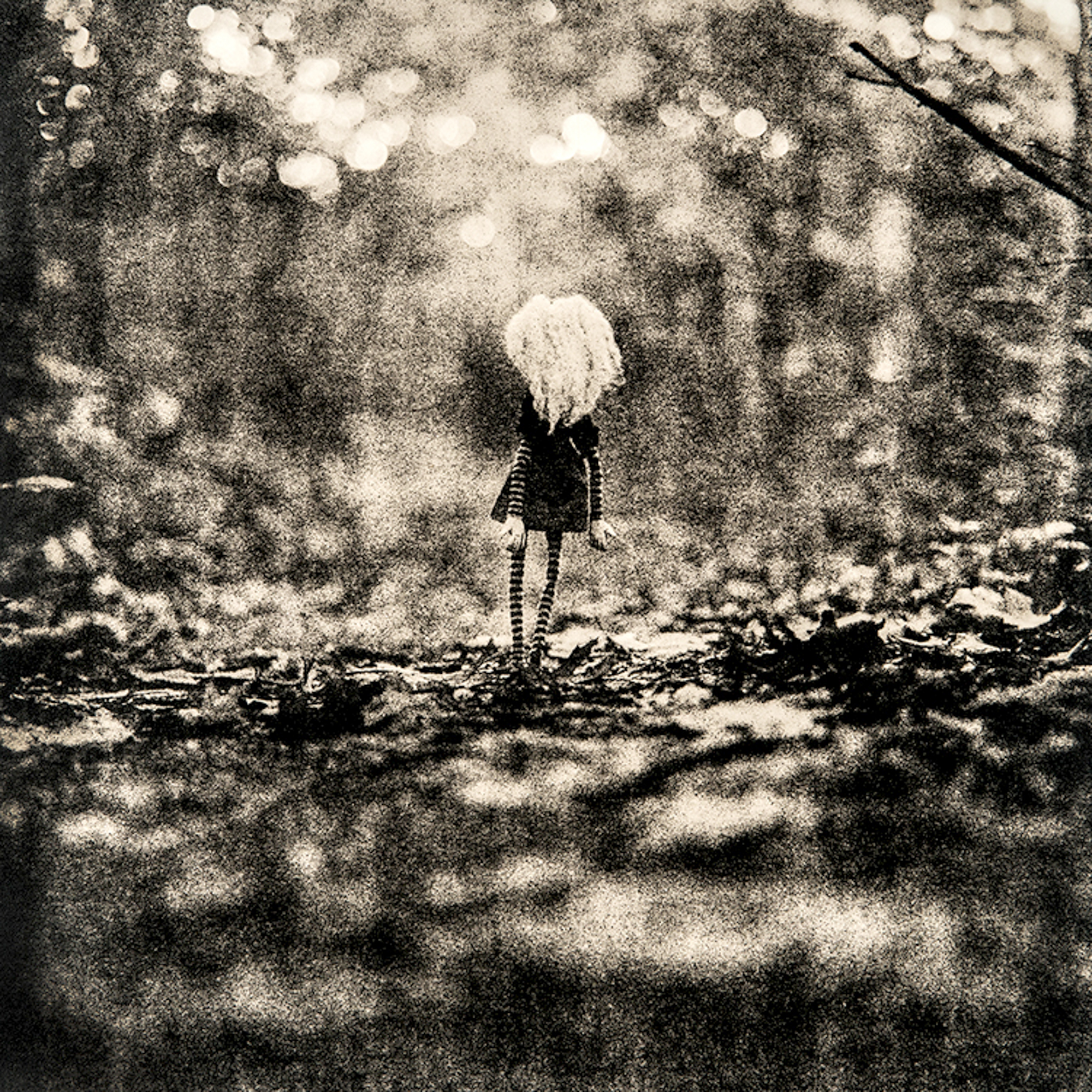   ©KatarzynaDerda    &nbsp;series "If Only" ,    photograph #9, lith print    Chicago 2009 , unique, edition of 1  