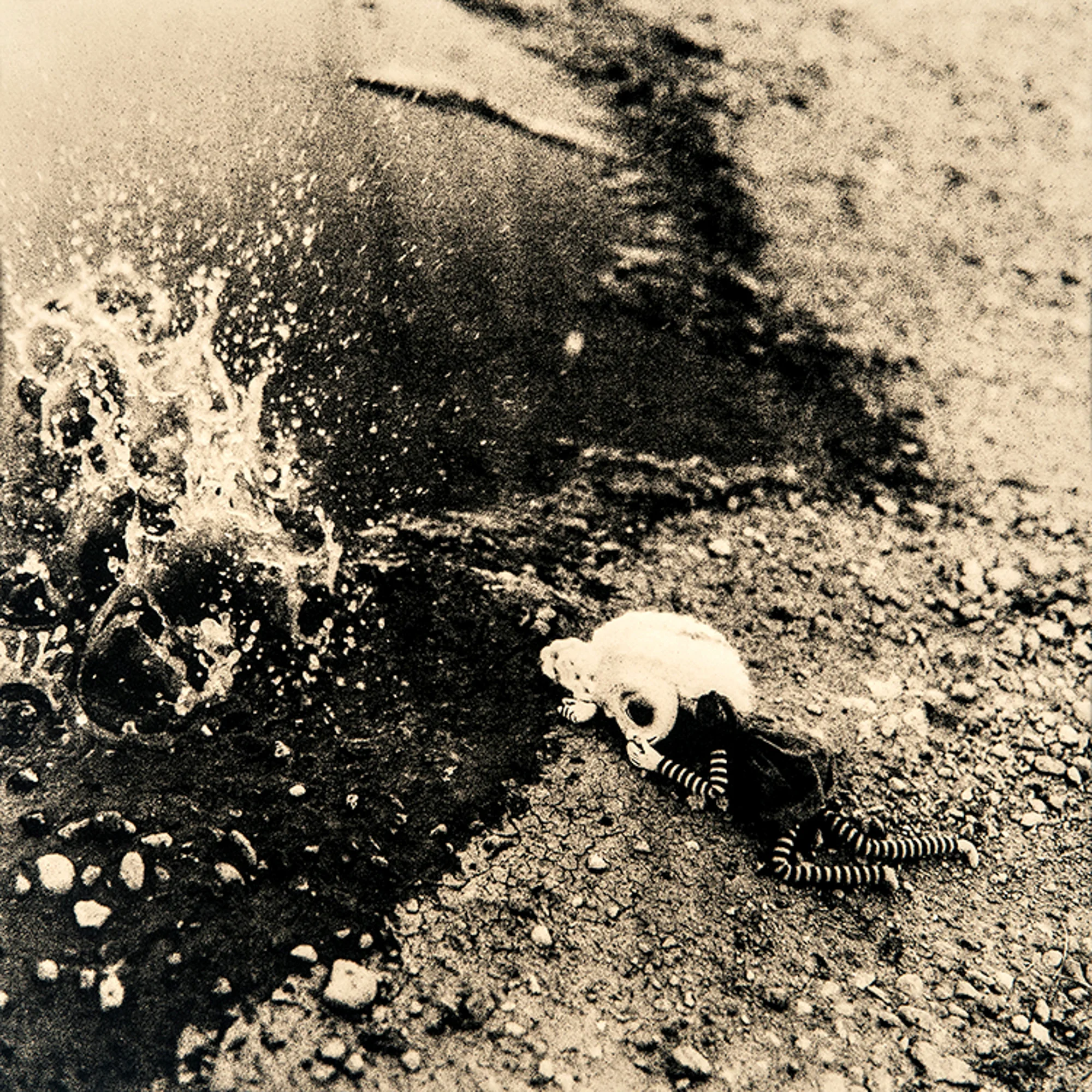 ©KatarzynaDerda series "If Only" , photograph #7, lith print Chicago 2009 , unique, edition of 1