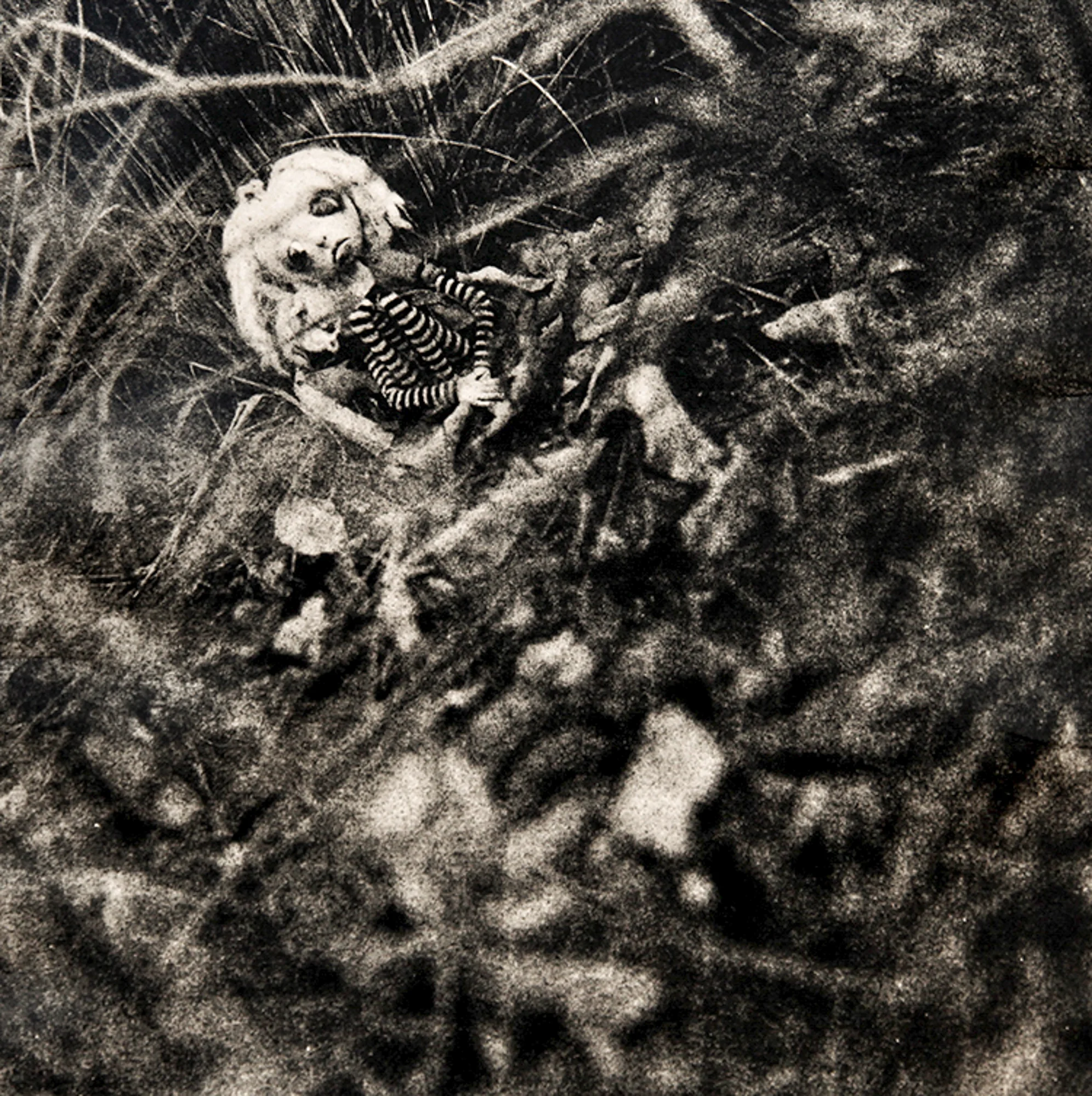 ©KatarzynaDerda series "If Only" , photograph #8, lith print Chicago 2009 , unique, edition of 1