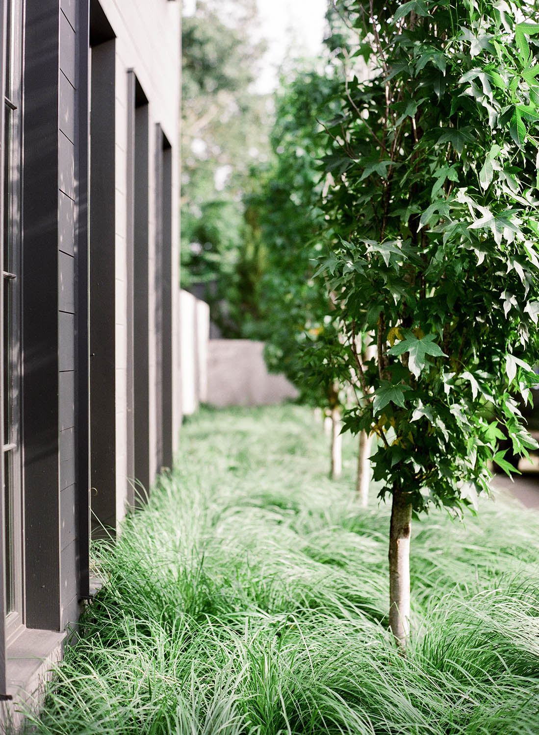 Nashville Landscape Architectural photographer — Leslee Mitchell