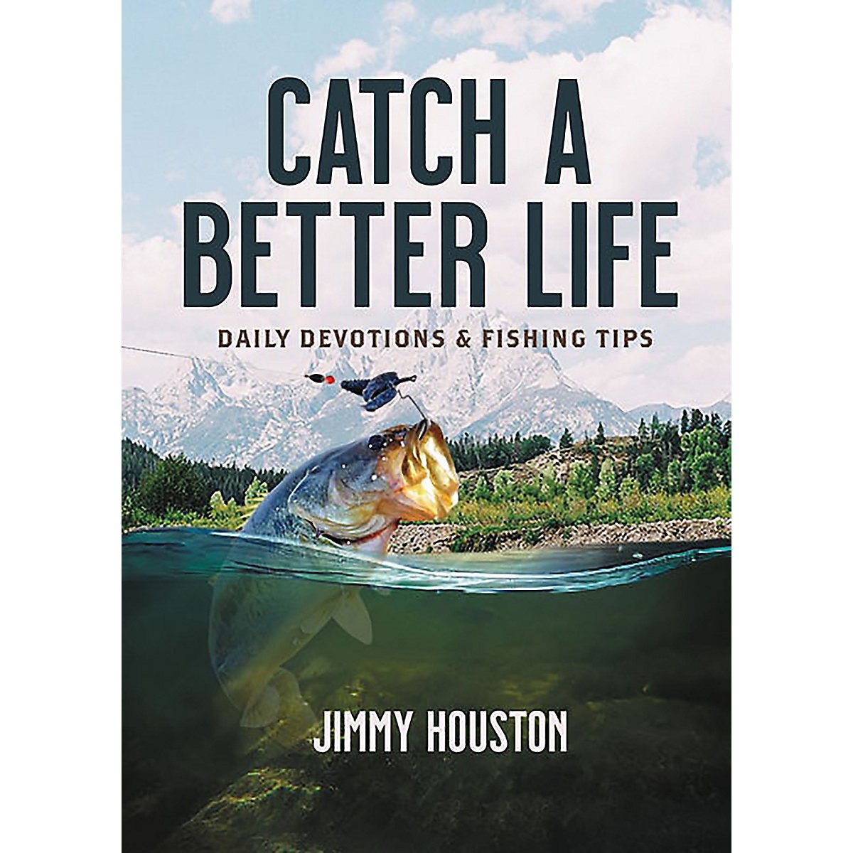 Thomas Nelson: Book Cover 2022 Catch A Better Life
