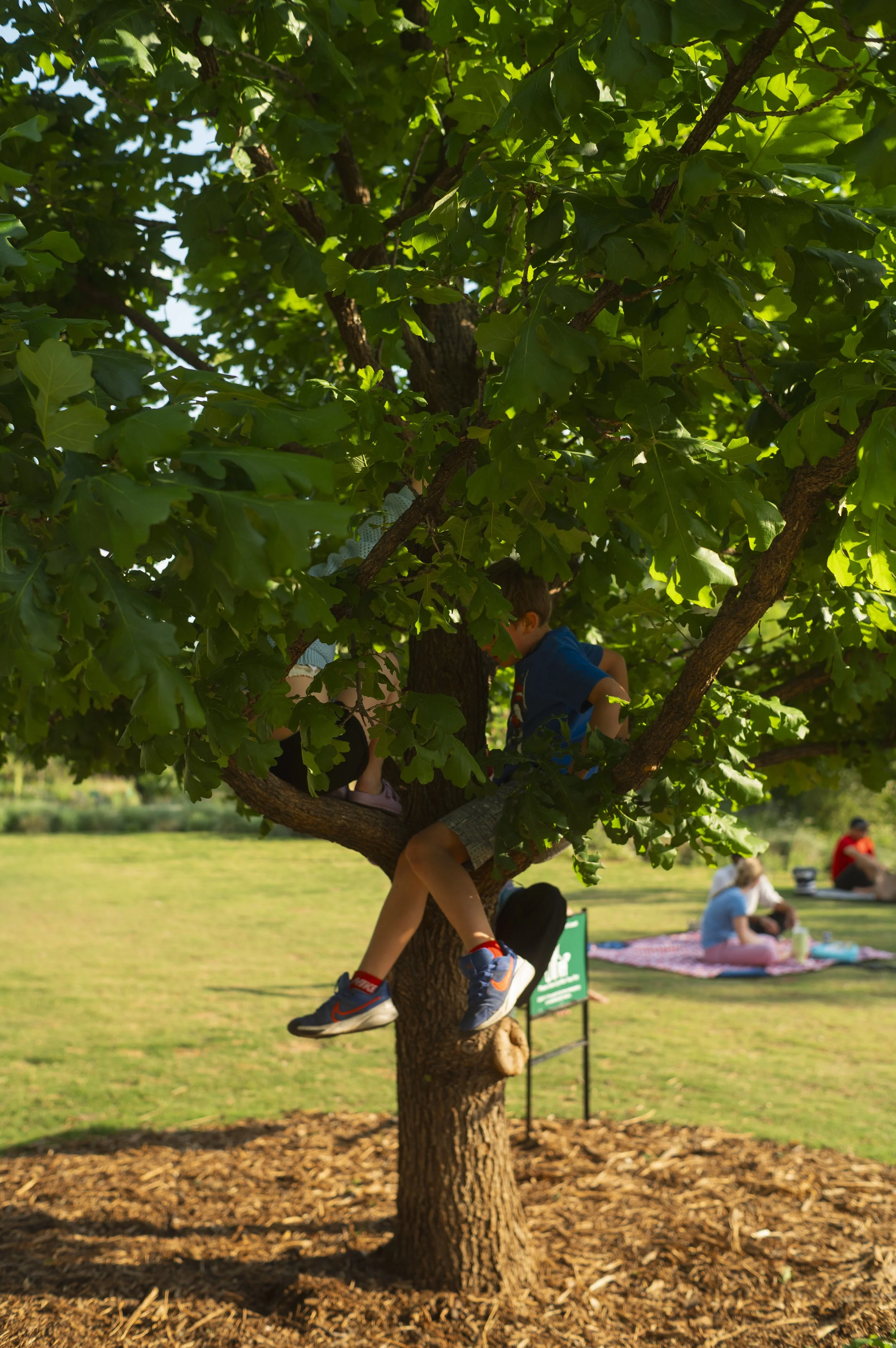 TTC Tunes on the Trail Website-15.JPG