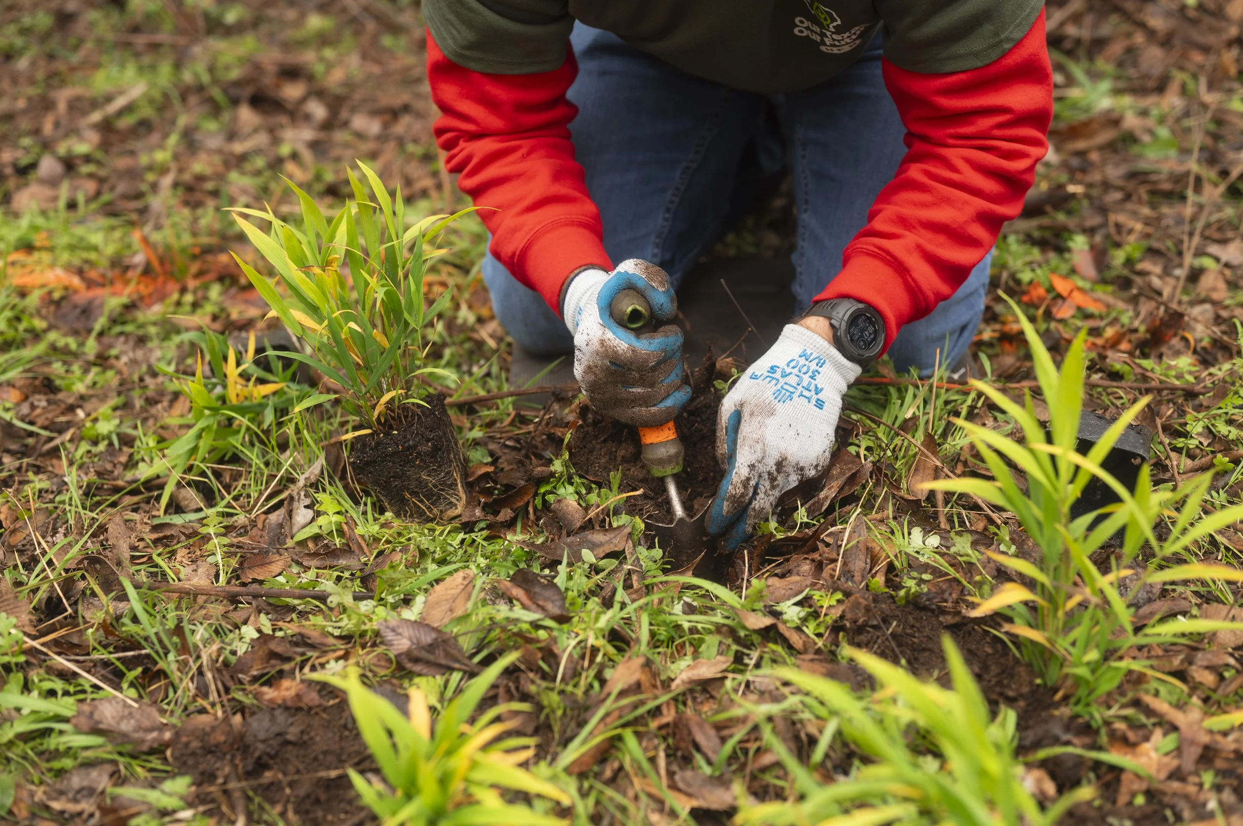 Planting Volunteer Event-11.JPG