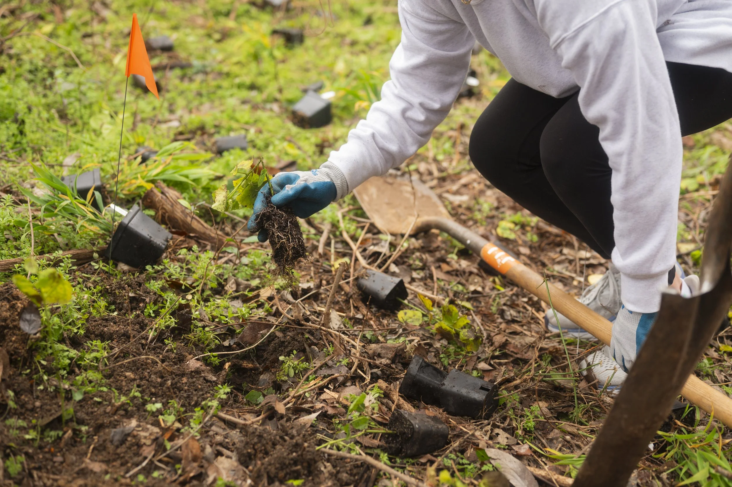 Planting Volunteer Event-9.JPG