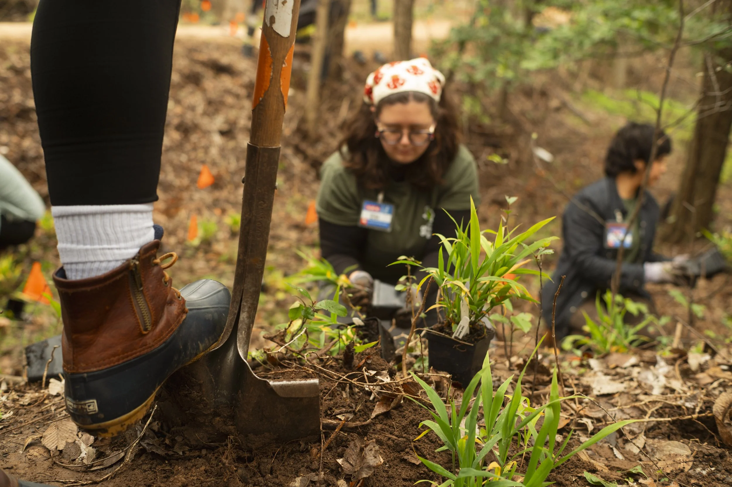 Planting Volunteer Event-21.JPG