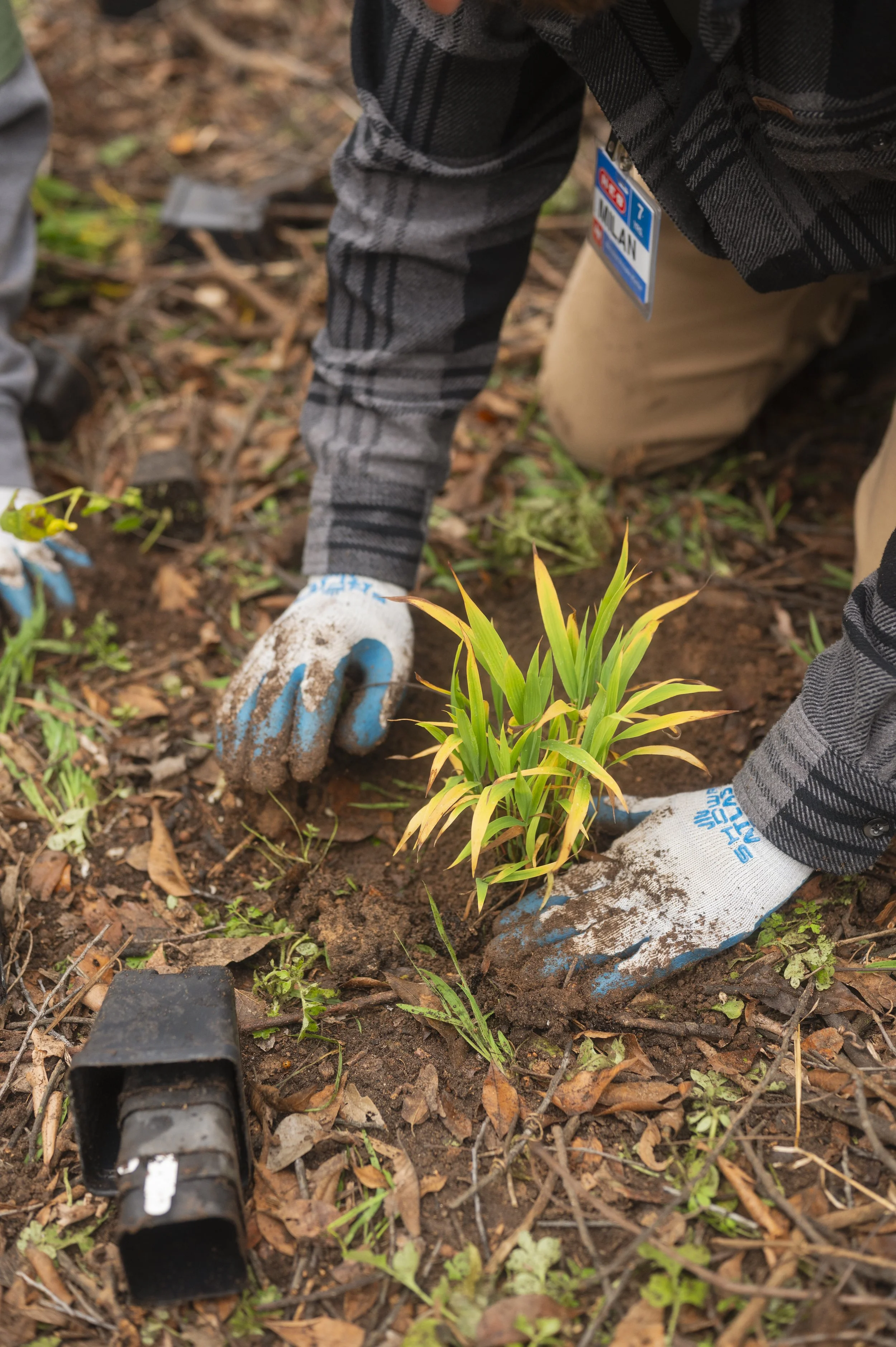 Planting Volunteer Event-10.JPG