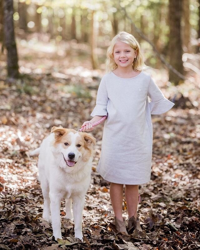 Whoever said diamonds are a girl&rsquo;s best friend never owned a dog. 🐶
#kristingrobertsonphotography 
#columbusgaphotographer 
#columbusgaphotography 
#columbusga
#auburnalphotographer 
#auburnalabamaphotography 
#auburnal
#706
#columbusgafamilyp