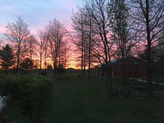 IMG_8232.jpeg