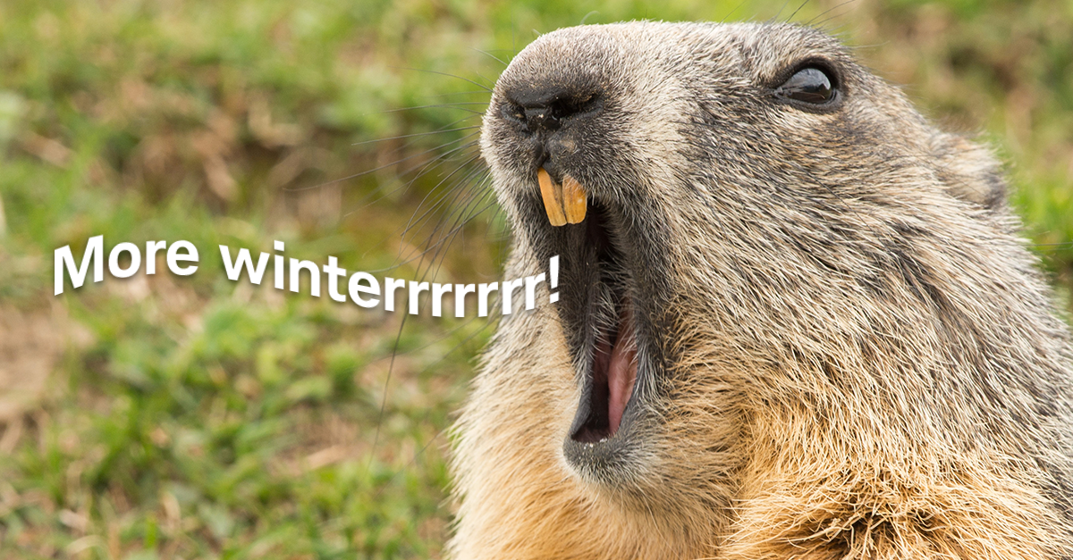 groundhog-scream-winter-LI.png