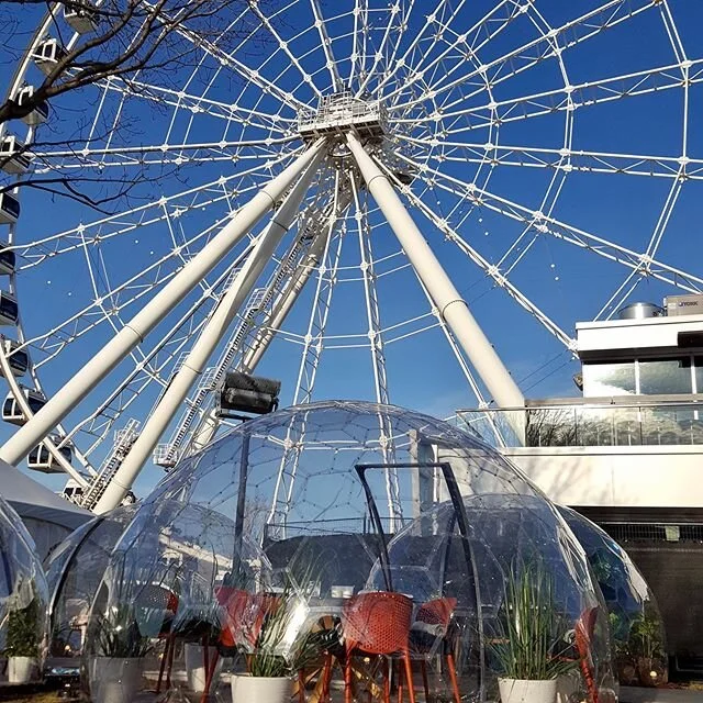 HVD original photo / spotted, spring 2019 / last year, the Dinner With a View pop-up was ruffling feathers in some cities due to placement and prices / now we all need a personal-pan-pizza-size dome

#montreal #montrealcanada #larondemontreal #dinner