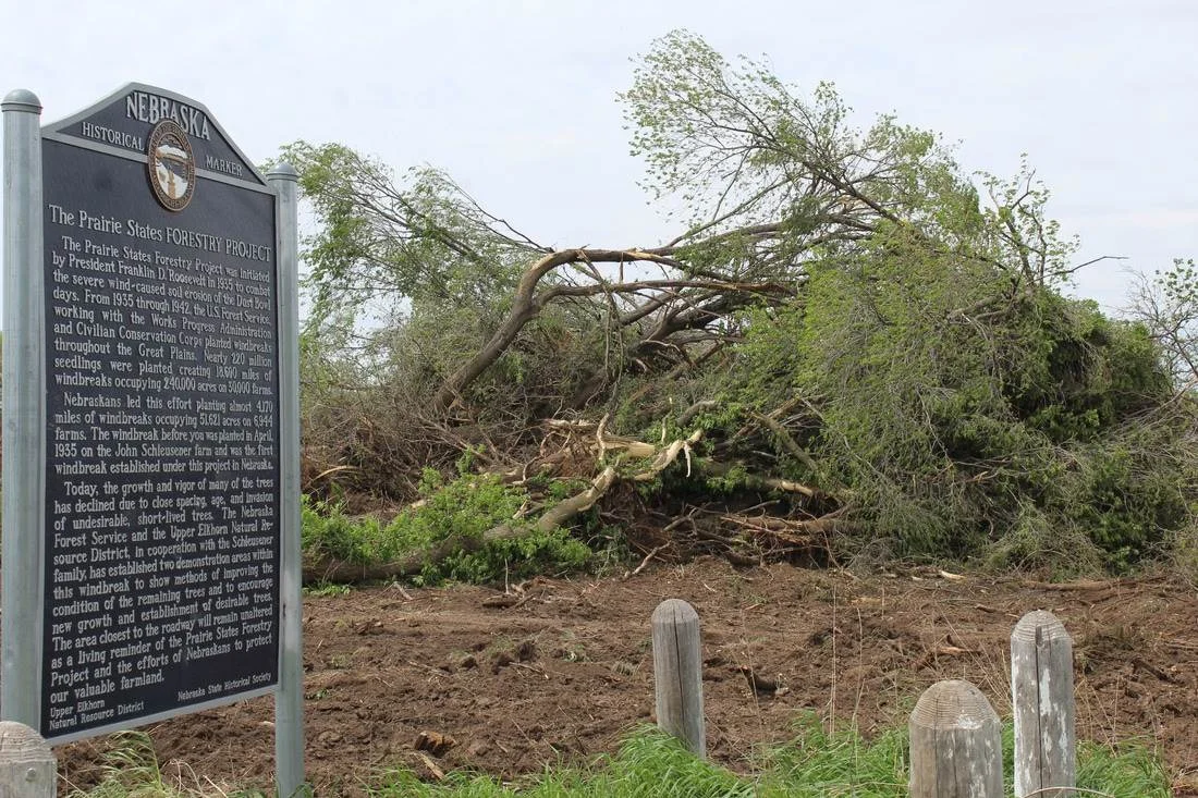 Historic marker at the Schleusener Farm (now removed) next to the cleared trees (photo courtesy of the theoddessyonline.com )