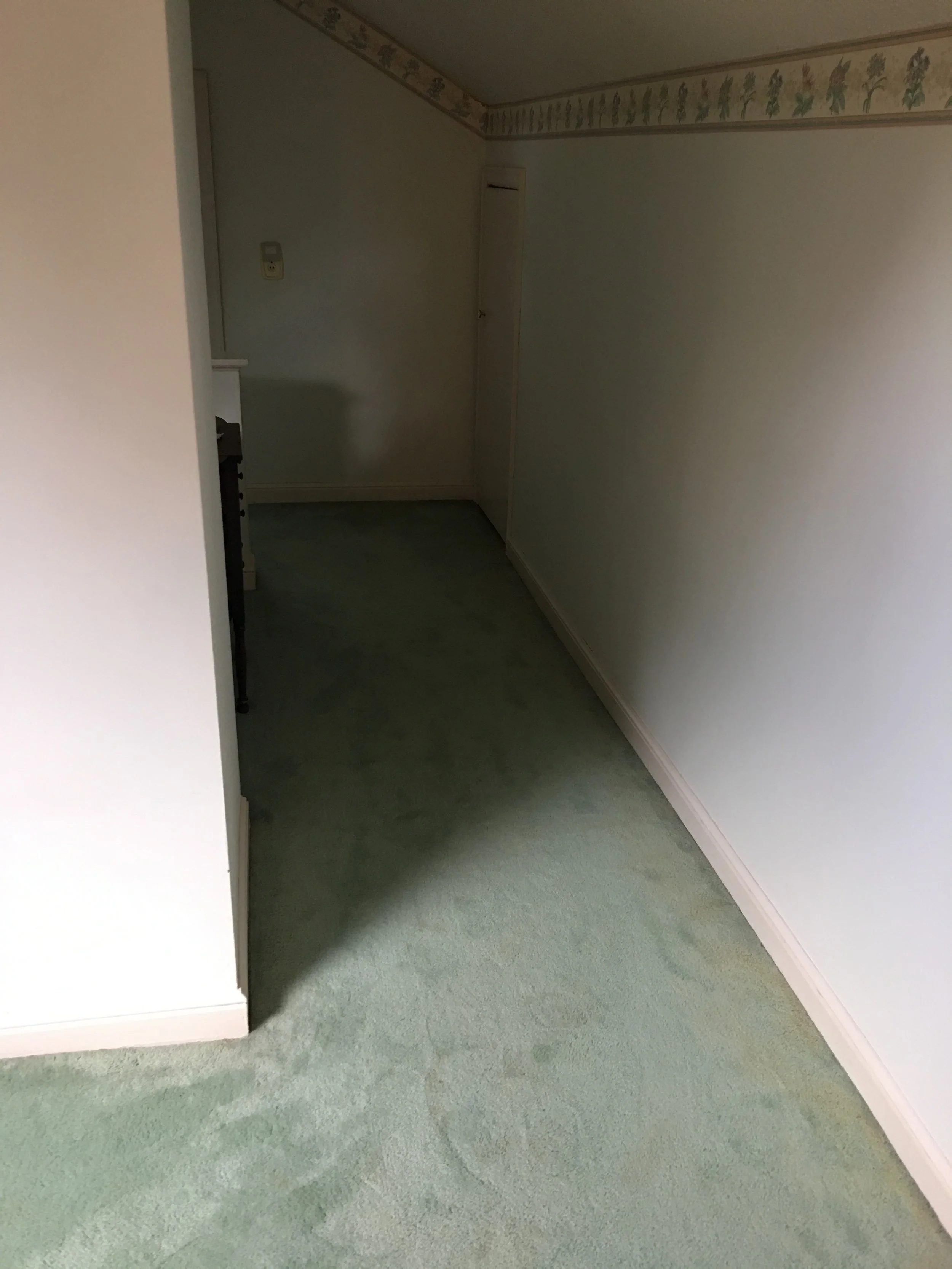 Hideous carpet before...