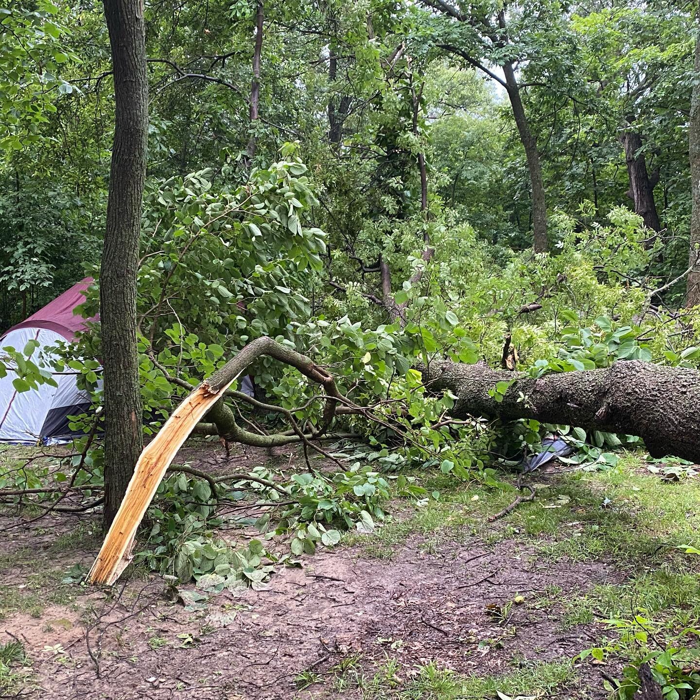 Last weekend I was reminded of the power nature wields as the campers across from our site narrowly escaped being crushed under the weight of this tree during the intense overnight storm. More frequent and violent storms like what we experienced last