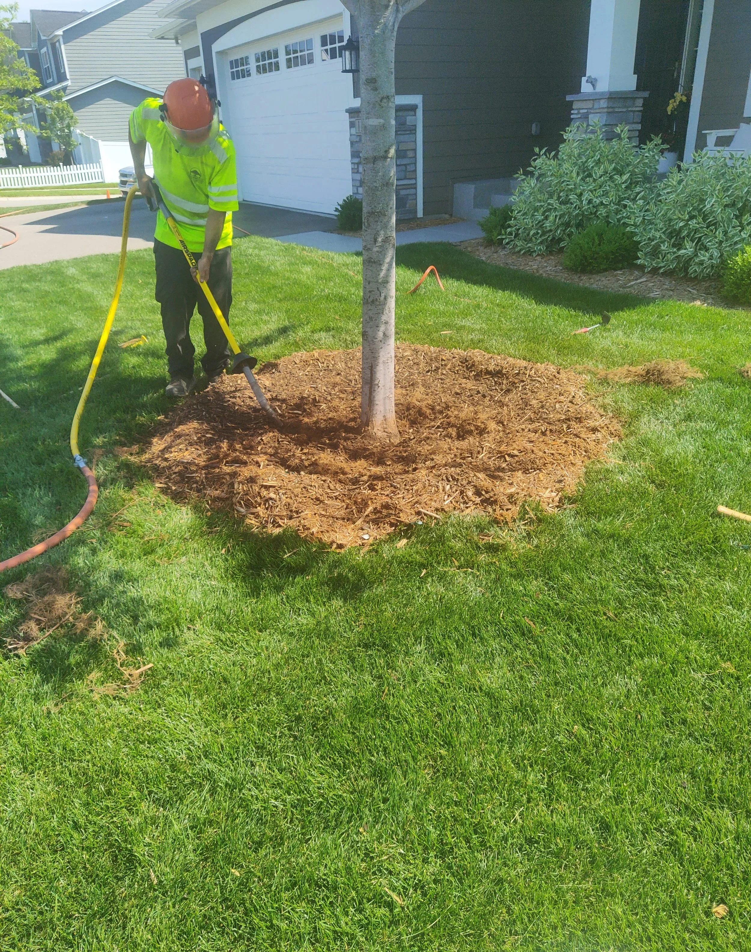 Wes is expsoing a root collar for inspection to free up some girdling roots in Richfield, MN