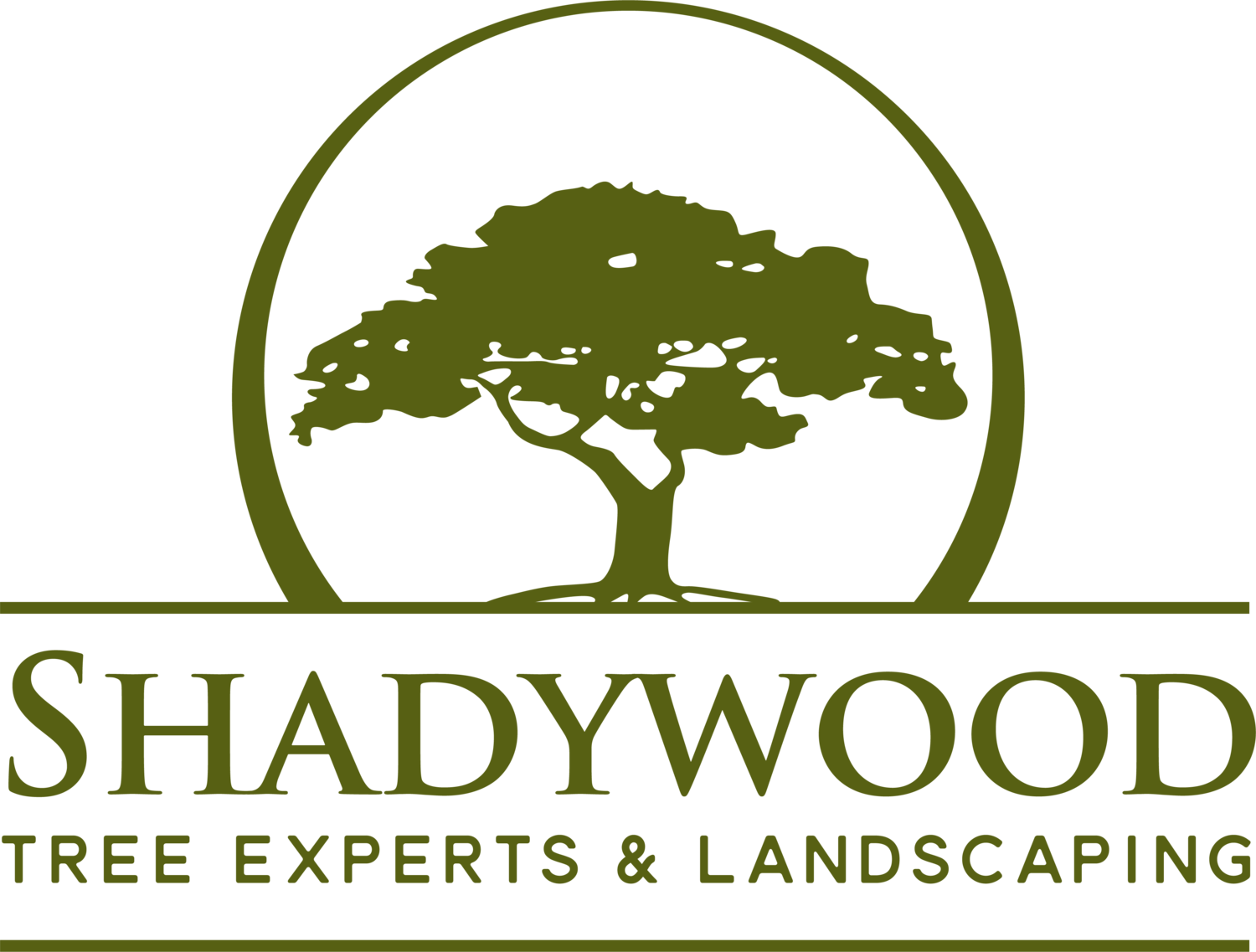 Shadywood Tree Experts and Landscaping