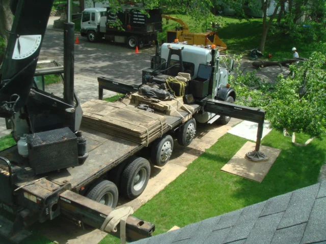 Crane on Plywood.JPG