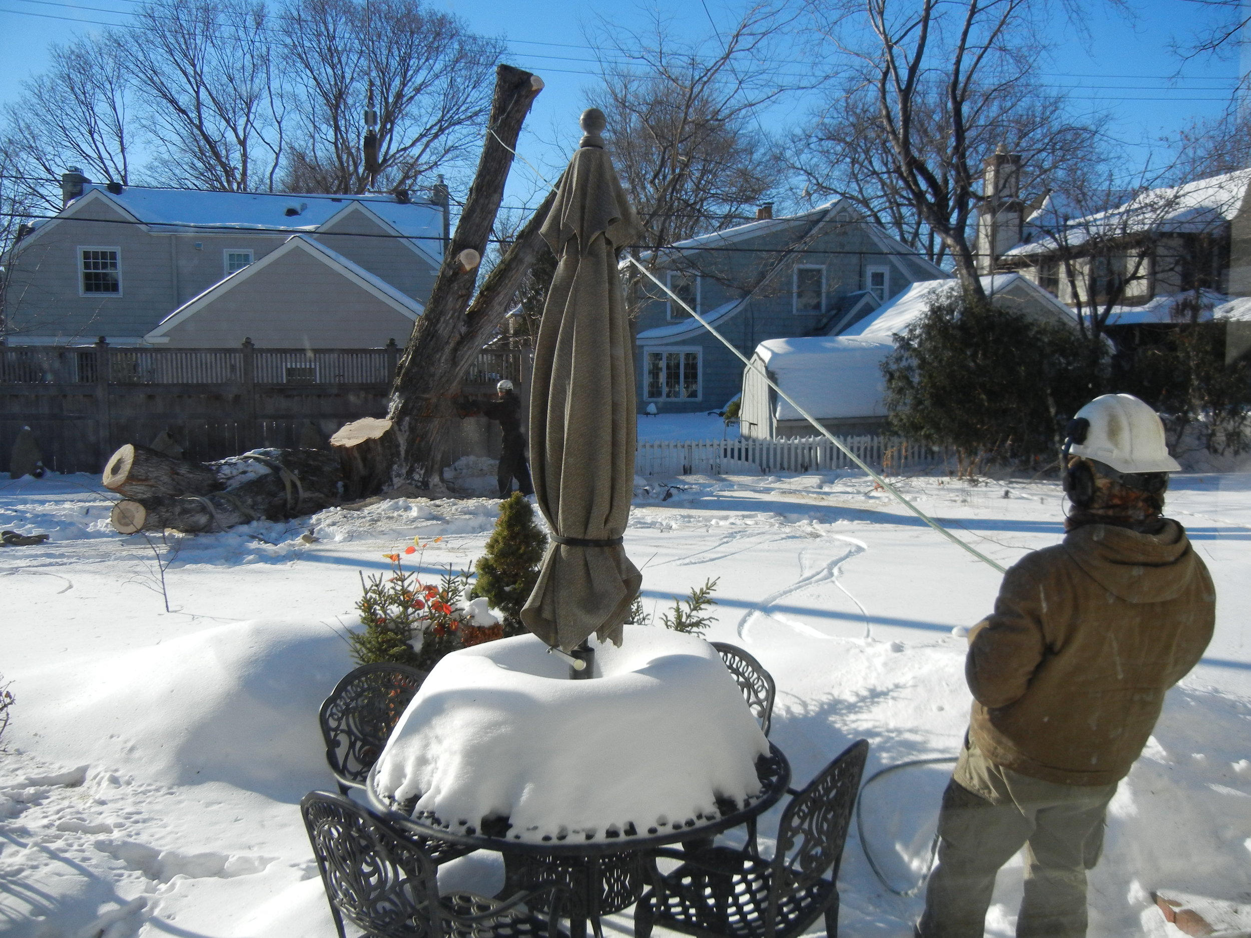 Tree Removal Feb. 2014 064.JPG