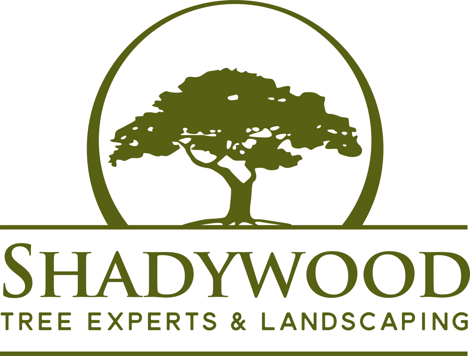 shadywood-logo.png