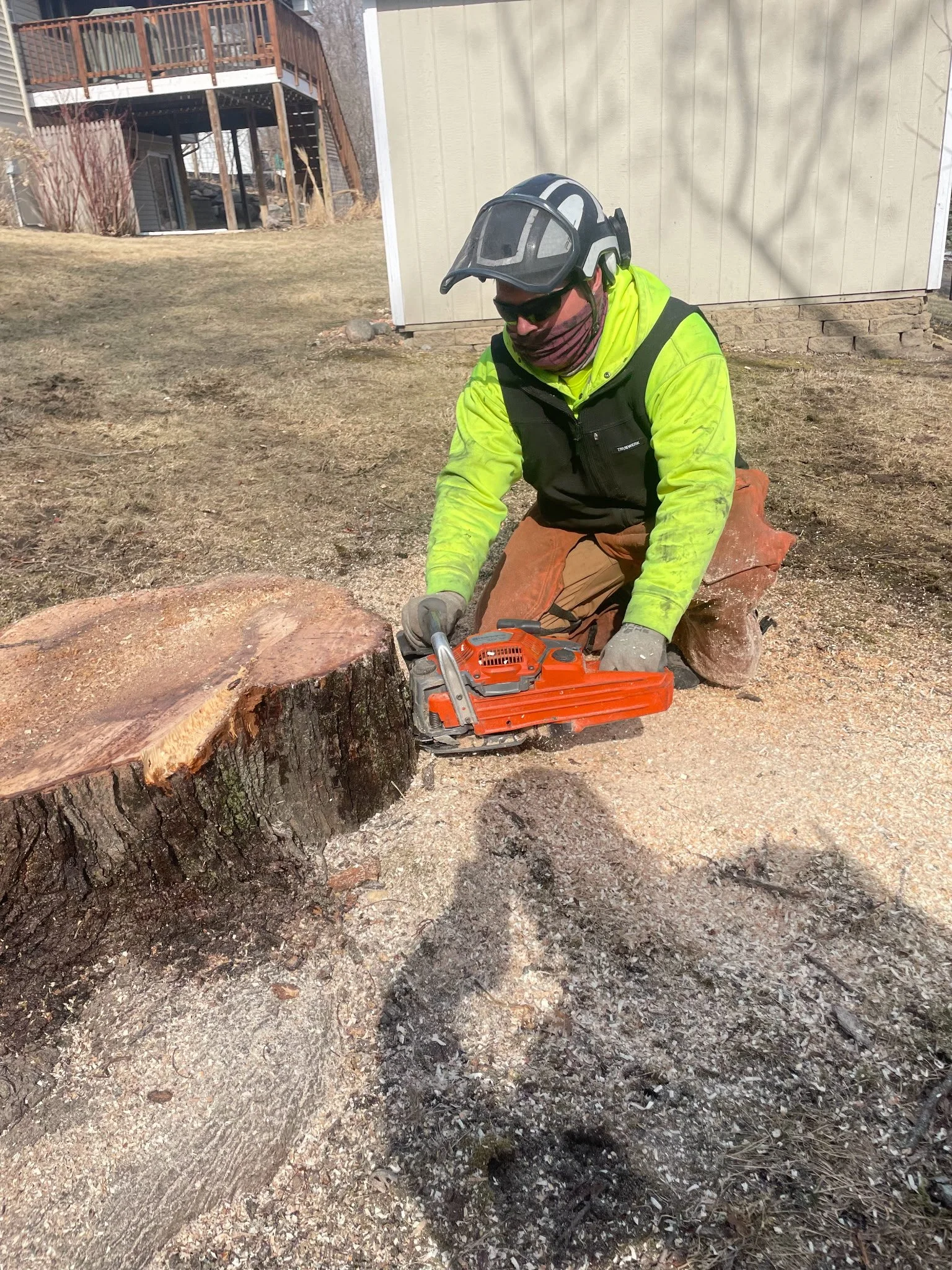Austin is wearing safety gear for the last cut on this tree removal in St Louis Park, MN