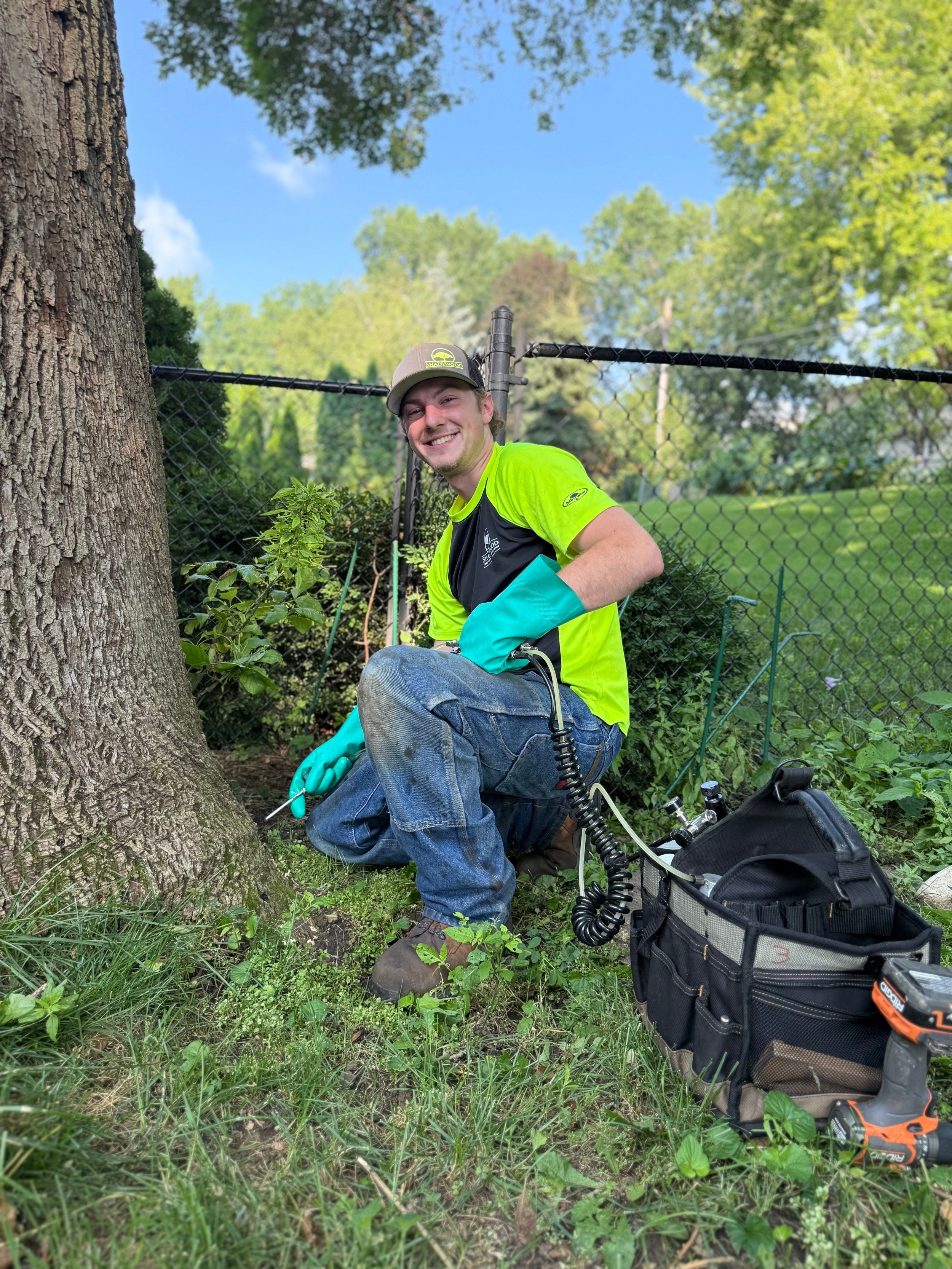 Ben is providing Emerald Ash Borer treatment to an Ash tree in St Louis Park, MN