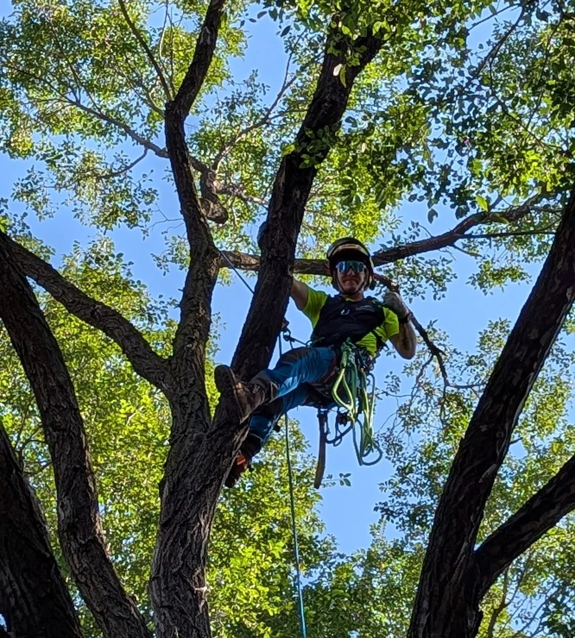 Nate trimming trees safely in Savage, MN