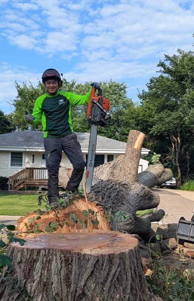 Professional tree removal service in Minnetonka MN