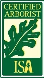 ISA-Certified Arborist badge