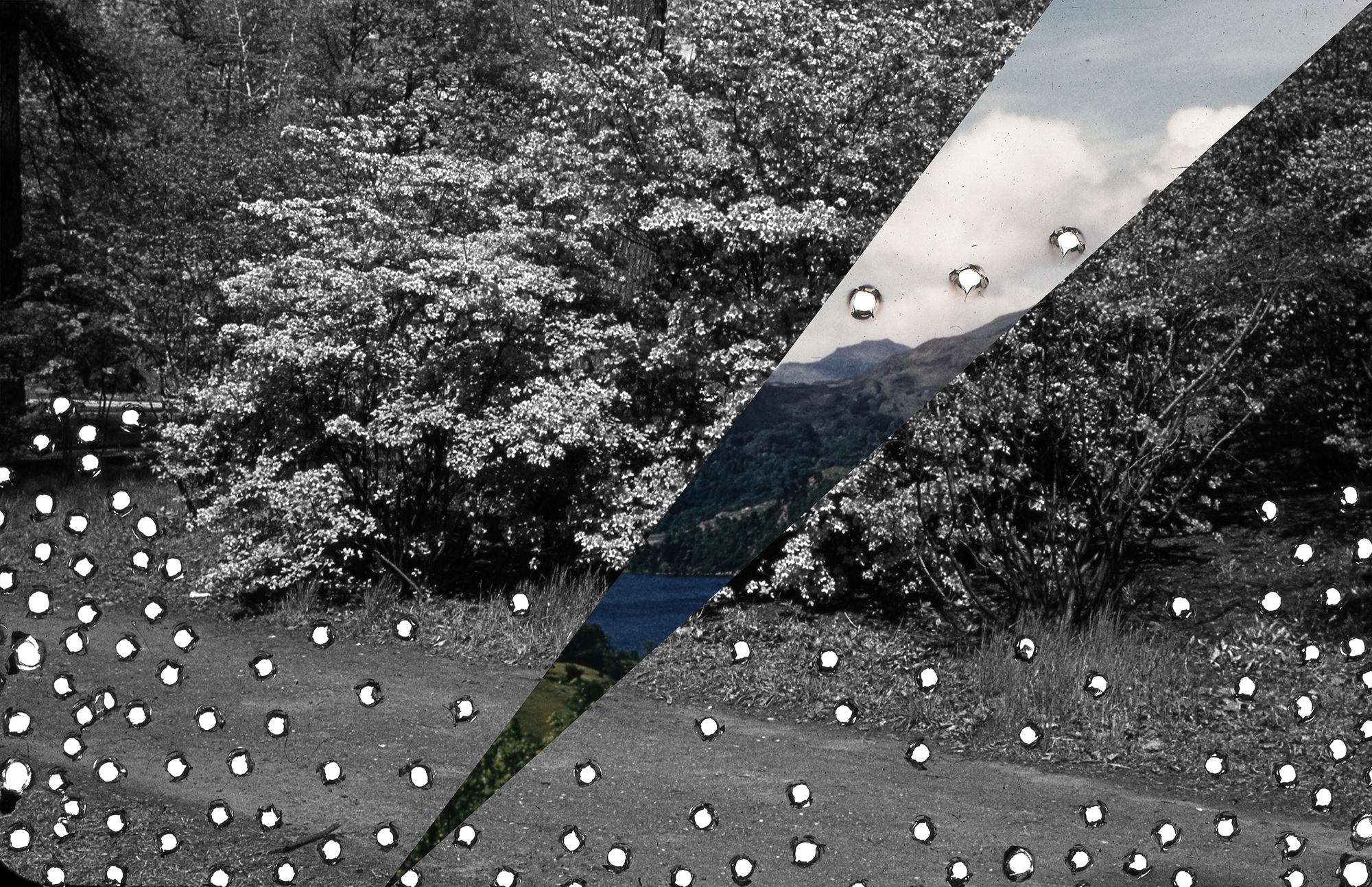 Ryn Wilson, Interruption , archival inkjet print, 11in x 17in, 2017