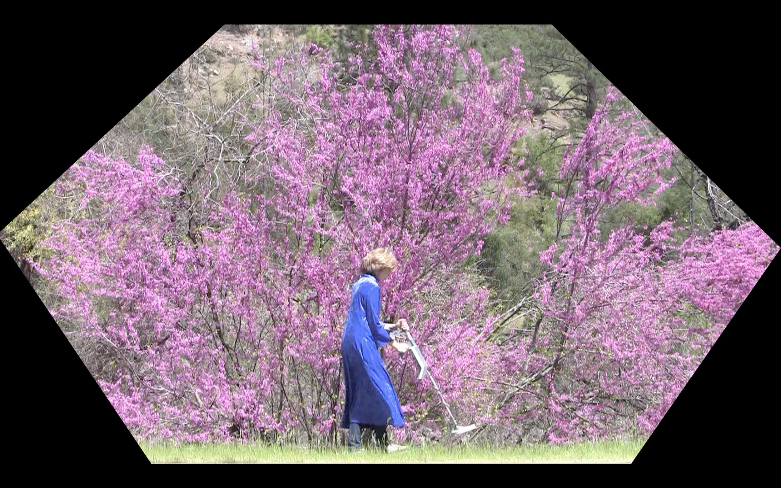 Shana Moulton, Decorations of the Mind II , 2011, 11min 55sec